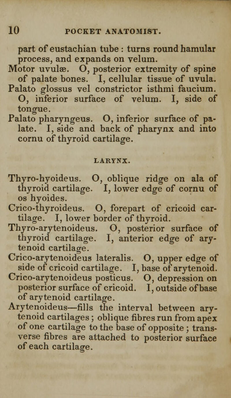 part of eustachian tube : turns round hamular process, and expands on velum. Motor uvulas. O, posterior extremity of spine of palate bones. I, cellular tissue of uvula. Palato glossus vel constrictor isthmi faucium. O, inferior surface of velum. I, side of tongue. Palato pharyngeus. O, inferior surface of pa- late. I, side and back of pharynx and into cornu of thyroid cartilage. Thyro-hyoideus. O, oblique ridge on ala of thyroid cartilage. I, lower edge of cornu of os hyoides. Crico-thyroideus. O, forepart of cricoid car- tilage. I, lower border of thyroid. Thyro-arytenoideus. O, posterior surface of thyroid cartilage. I, anterior edge of ary- tenoid cartilage. Crico-arytenoideus lateralis. O, upper edge of side of cricoid cartilage. I, base of arytenoid. Crico-arytenoideus posticus. O, depression on posterior surface of cricoid. I, outside of base of arytenoid cartilage. Arytenoideus—fills the interval between ary- tenoid cartilages ; oblique fibres run from apex of one cartilage to the base of opposite ; trans- verse fibres are attached to posterior surface of each cartilage.
