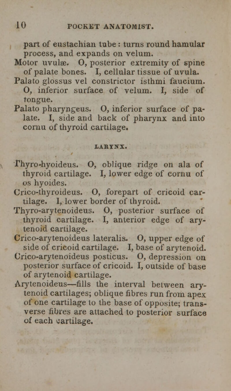 part of eustachian tube: turns round hamular process, and expands on velum. Motor uvulae. 0, posterior extremity of spine of palate bones. I, cellular tissue of uvula. Palato glossus vel constrictor isthmi faucium. O, inferior surface of velum. I, side of tongue. Palato pharyngeus. O, inferior surface of pa- late. I, side and back of pharynx and into cornu of thyroid cartilage. rhyro-hyoideus. O, oblique ridge on ala of thyroid cartilage. I, lower edge of cornu of os hyoides. Crico-thyroideus. O, forepart of cricoid car- tilage. I, lower border of thyroid. Thyro-arytenoideus. O, posterior surface of thyroid cartilage. I, anterior edge of ary- tenoid cartilage. Crico-arytenoideus lateralis. O, upper edge of side of cricoid cartilage. I, base of arytenoid. Crico-arytenoideus posticus. O, depression on posterior surface of cricoid. I, outside of base of arytenoid cartilage. Arytenoideus—fills the interval between ary- tenoid cartilages; oblique fibres run from apex of one cartilage to the base of opposite; trans- verse fibres are attached to posterior surface of each cartilage.