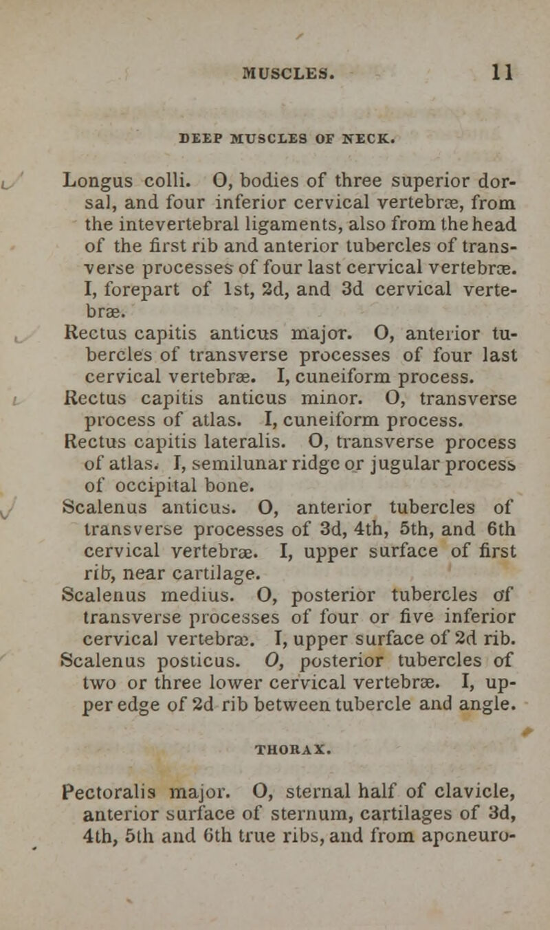 DEEP MUSCLES OF NECK. Longus colli. 0, bodies of three superior dor- sal, and four inferior cervical vertebrae, from the intevertebral ligaments, also from the head of the first rib and anterior tubercles of trans- verse processes of four last cervical vertebrae. I, forepart of 1st, 2d, and 3d cervical verte- brae. Rectus capitis anticus major. O, anterior tu- bercles of transverse processes of four last cervical vertebrae. I, cuneiform process. Rectus capitis anticus minor. O, transverse process of atlas. I, cuneiform process. Rectus capitis lateralis. O, transverse process of atlas. I, semilunar ridge or jugular process of occipital bone. Scalenus anticus. O, anterior tubercles of transverse processes of 3d, 4th, 5th, and 6th cervical vertebrae. I, upper surface of first ribr, near cartilage. Scalenus medius. O, posterior tubercles of transverse processes of four or five inferior cervical vertebrae. I, upper surface of 2d rib. Scalenus posticus. 0, posterior tubercles of two or three lower cervical vertebrae. I, up- per edge of 2d rib between tubercle and angle. Pectoralis major. O, sternal half of clavicle, anterior surface of sternum, cartilages of 3d, 4th, 5th and Oth true ribs, and from aponeuro-