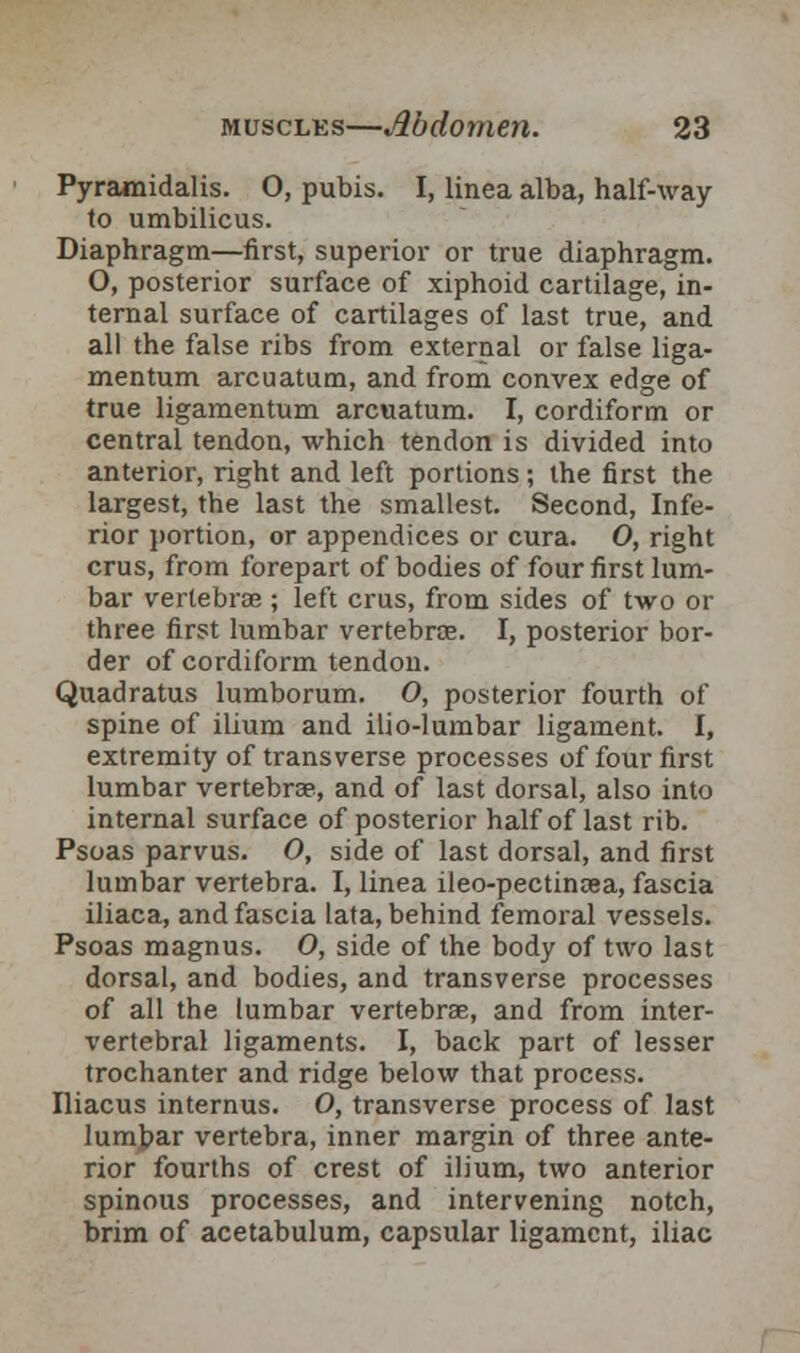 Pyramidalis. O, pubis. I, linea alba, half-way to umbilicus. Diaphragm—first, superior or true diaphragm. O, posterior surface of xiphoid cartilage, in- ternal surface of cartilages of last true, and all the false ribs from external or false liga- mentum arcuatum, and from convex edge of true ligamentum arcuatum. I, cordiform or central tendon, which tendon is divided into anterior, right and left portions ; the first the largest, the last the smallest. Second, Infe- rior portion, or appendices or cura. 0, right crus, from forepart of bodies of four first lum- bar vertebra;; left crus, from sides of two or three first lumbar vertebrae. I, posterior bor- der of cordiform tendon. Quadratus lumborum. 0, posterior fourth of spine of ilium and ilio-lumbar ligament. I, extremity of transverse processes of four first lumbar vertebrae, and of last dorsal, also into internal surface of posterior half of last rib. Psoas parvus. 0, side of last dorsal, and first lumbar vertebra. I, linea ileo-pectincea, fascia iliaca, and fascia lata, behind femoral vessels. Psoas magnus. O, side of the body of two last dorsal, and bodies, and transverse processes of all the lumbar vertebrae, and from inter- vertebral ligaments. I, back part of lesser trochanter and ridge below that process. Iliacus internus. O, transverse process of last lumbar vertebra, inner margin of three ante- rior fourths of crest of ilium, two anterior spinous processes, and intervening notch, brim of acetabulum, capsular ligament, iliac