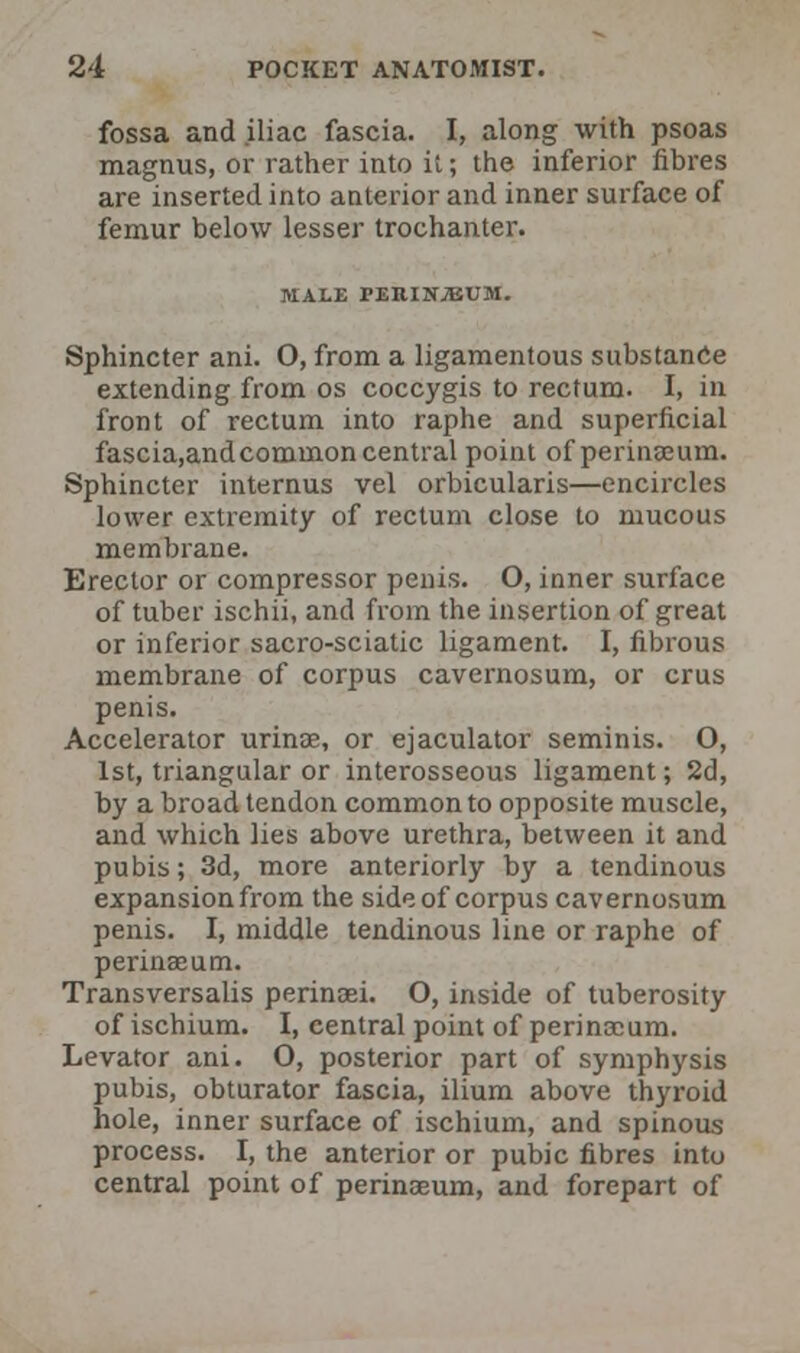 fossa and iliac fascia. I, along with psoas magnus, or rather into it; the inferior fibres are inserted into anterior and inner surface of femur below lesser trochanter. MALE rERINVEUM. Sphincter ani. 0, from a ligamentous substance extending from os coccygis to rectum. I, in front of rectum into raphe and superficial fascia,andcommon central point of perinaeum. Sphincter internus vel orbicularis—encircles lower extremity of rectum close to mucous membrane. Erector or compressor penis. O, inner surface of tuber ischii, and from the insertion of great or inferior sacro-sciatic ligament. I, fibrous membrane of corpus cavernosum, or crus penis. Accelerator urinae, or ejaculator seminis. O, 1st, triangular or interosseous ligament; 2d, by a broad tendon common to opposite muscle, and which lies above urethra, between it and pubis; 3d, more anteriorly by a tendinous expansion from the side of corpus cavernosum penis. I, middle tendinous line or raphe of perinaeum. Transversalis perinaei. O, inside of tuberosity of ischium. I, central point of perinaeum. Levator ani. O, posterior part of symphysis pubis, obturator fascia, ilium above thyroid hole, inner surface of ischium, and spinous process. I, the anterior or pubic fibres into central point of perinaeum, and forepart of