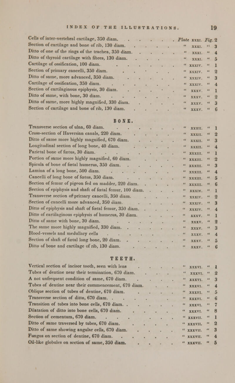 Cells of inter-vertebral cartilage, 350 diam. Section of cartilage and bone of rib, 130 diam. Ditto of one of the rings of the trachea, 350 diam. Ditto of thyroid cartilage with fibres, 130 diam. Cartilage of ossification, 100 diam. Section of primary cancclli, 350 diam. Ditto of same, more advanced, 350 diam. Cartilage of ossification, 350 diam. Section of cartilaginous epiphysis, 30 diam. Ditto of same, with bone, 30 diam. Ditto of same, more highly magnified, 330 diam. Section of cartilage and bone of rib, 130 diam. Plate xxxi. Fig. 2 XXXI. ' 3 XXXI. ' 4 XXXI. ' 5 XXXIV. ' 1 XXXIV. ' 2 XXXIV. ' 3 XXXIV. ' 4 xxxv. ' 1 XXXV. ' 2 xxxv. ' 3 xxxv. ' C BONE. Transverse section of ulna, 60 diam. Cross-section of Haversian canals, 220 diam. Ditto of same more highly magnified, 670 diam. Longitudinal section of long bone, 40 diam. Parietal bone of foetus, 30 diam. Portion of same more highly magnified, 60 diam. Spicula of bone of foetal humerus, 350 diam. Lamina of a long bone, 500 diam. Cancelli of long bone of foetus, 350 diam. Section of femur of pigeon fed on madder, 220 diam. Section of epiphysis and shaft of foetal femur, 100 diam. Transverse section of primary cancelli, 350 diam. Section of cancelli more advanced, 350 diam. Ditto of epiphysis and shaft of foetal femur, 350 diam. . Ditto of cartilaginous epiphysis of humerus, 30 diam. Ditto of same with bone, 30 diam. The same more highly magnified, 330 diam. Blood-vessels and medullary cells .... Section of shaft of foetal long bone, 20 diam. Ditto of bone and cartilage of rib, 130 diam. XXXII. ' 1 XXXII. ' 2 XXXII. ' 3 XXXII. ' 4 XXXIII. ' 1 XXXIII. ' 2 XXXIII. ' 3 XXXIII. ' 4 XXXIII. ' 5 XXXIII. ' 6 XXXIV. ' 1 XXXIV. ' 2 XXXIV. ' 3 XXXIV. ' 4 xxxv. ' 1 xxxv. ' 2 xxxv. ' 3 xxxv. ' 4 xxxv. ' 5 xxxv. ' 6 TEETH. Vertical section of incisor tooth, seen with len9 Tubes of dentine near their termination, 670 diam. A not unfrequent condition of same, 670 diam. Tubes of dentine near their commencement, 670 diam. Oblique section of tubes of dentine, 670 diam. Transverse section of ditto, 670 diam. . Transition of tubes into bone cells, 670 diam. . Dilatation of ditto into bone cells, 670 diam. Section of cementum, 670 diam. Ditto of same traversed by tubes, 670 diam. Ditto of same showing angular cells, 670 diam. Fungus on section of dentine, 670 diam. xxxvi. ' 1 . . XXXVI. • 2 XXXVI. ' 3 XXXVI. ' 4 xxxvi. ' 5 xxxvi. ' 6 XXXVI. ' 7 XXXVI. ' 8 xxxvii. • 1 XXXVII. ' 2 xxxvii. ' ' 3 XXXVII. ' ' 4