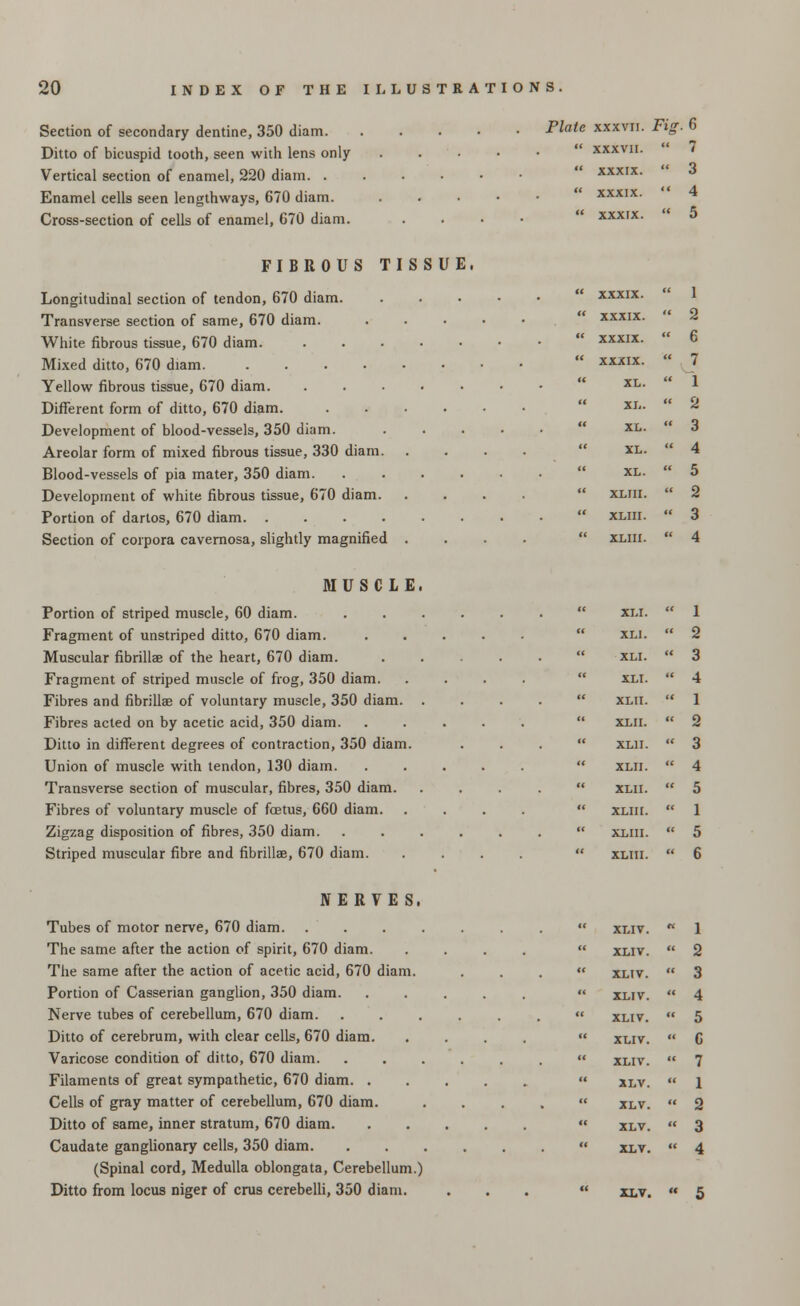 Section of secondary dentine, 350 diam. Ditto of bicuspid tooth, seen with lens only Vertical section of enamel, 220 diam. . Enamel cells seen lengthways, 670 diam. Cross-section of cells of enamel, G70 diam. Plate xxxvn. Fig 6 xxxvn. 7 XXXIX. 3 XXXIX. 4 XXXIX. 5 FIBROUS TISSUE. Longitudinal section of tendon, 670 diam xxxix. Transverse section of same, 670 diam. ..... xxxix. White fibrous tissue, 670 diam. xxxix. Mixed ditto, 670 diam xxxix. Yellow fibrous tissue, 670 diam. ....... xl. Different form of ditto, 670 diam xl. Development of blood-vessels, 350 diam. ..... xl. Areolar form of mixed fibrous tissue, 330 diam. .... xl. Blood-vessels of pia mater, 350 diam. ...... xl. Development of white fibrous tissue, 670 diam. .... xliii. Portion of dartos, 670 diam xliii. Section of corpora cavernosa, slightly magnified .... xliii. MUSCLE. Portion of striped muscle, 60 diam. Fragment of unstriped ditto, 670 diam. Muscular fibrillae of the heart, 670 diam. Fragment of striped muscle of frog, 350 diam. Fibres and fibrillae of voluntary muscle, 350 diam. . Fibres acted on by acetic acid, 350 diam. Ditto in different degrees of contraction, 350 diam. Union of muscle with tendon, 130 diam. Transverse section of muscular, fibres, 350 diam. Fibres of voluntary muscle of fetus, 660 diam. Zigzag disposition of fibres, 350 diam. Striped muscular fibre and fibrillae, 670 diam. XLI. ' 1 XLI. « 2 XLI. « 3 XLI. ' 4 XLII. « 1 XLII. ' 2 XLII. « 3 XLII. < 4 XLII. « 5 XLIII. ' 1 XLIII. « 5 XLIII. ' 6 NERVES. Tubes of motor nerve, 670 diam. .... The same after the action of spirit, 670 diam. The same after the action of acetic acid, 670 diam. Portion of Casserian ganglion, 350 diam. Nerve tubes of cerebellum, 670 diam. Ditto of cerebrum, with clear cells, 670 diam. Varicose condition of ditto, 670 diam. Filaments of great sympathetic, 670 diam. . Cells of gray matter of cerebellum, 670 diam. Ditto of same, inner stratum, 670 diam. Caudate ganglionary cells, 350 diam. (Spinal cord, Medulla oblongata, Cerebellum.) Ditto from locus niger of cms cerebelli, 350 diam. XLIV. 1 XLIV. ' 2 XLIV. ' 3 XLIV. « 4 XLIV. ' 5 XLIV. « 6 XLIV. « 7 XLV. • 1 XLV. ' 2 XLV. ' 3 XLV. 4