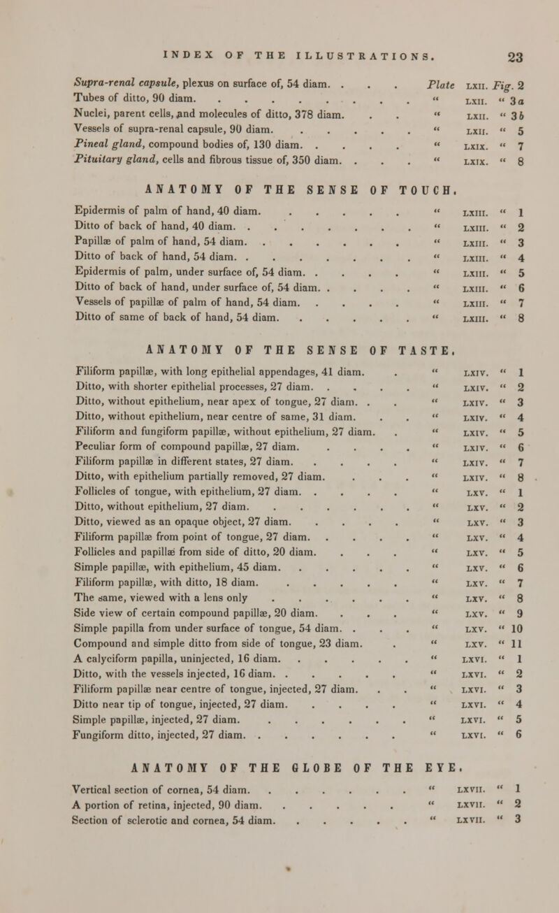 Supra-renal capsule, plexus on surface of, 54 diam. . Tubes of ditto, 90 diam Nuclei, parent cells, ^nd molecules of ditto, 378 diam. Vessels of supra-renal capsule, 90 diam. Pineal gland, compound bodies of, 130 diam. . Pituitary gland, cells and fibrous tissue of, 350 diam. Plate lxii. Fig. 2 LXII.  3a LXII.  36 LXII.  5 LXIX.  7 LXIX.  8 ANATOMY OF THE SENSE OF TOUCH. Epidermis of palm of hand, 40 diam. Ditto of back of hand, 40 diam Papillae of palm of hand, 54 diam Ditto of back of hand, 54 diam Epidermis of palm, under surface of, 54 diam Ditto of back of hand, under surface of, 54 diam. . Vessels of papillae of palm of hand, 54 diam Ditto of same of back of hand, 54 diam  lxiii. ' 1  LXIII. ' 2  LXIII. « 3  LXIII. ■ 4  LXIII. « 5  LXIII. ' 6  LXIII. ' 7  LXIII. < 8 ANATOMY OF THE SENSE OF TASTE, Filiform papillae, with long epithelial appendages, 41 diam. Ditto, with shorter epithelial processes, 27 diam. Ditto, without epithelium, near apex of tongue, 27 diam. . Ditto, without epithelium, near centre of same, 31 diam. Filiform and fungiform papillae, without epithelium, 27 diam. Peculiar form of compound papillae, 27 diam. Filiform papillae in different states, 27 diam. Ditto, with epithelium partially removed, 27 diam. Follicles of tongue, with epithelium, 27 diam. . Ditto, without epithelium, 27 diam. .... Ditto, viewed as an opaque object, 27 diam. Filiform papillae from point of tongue, 27 diam. Follicles and papillae from side of ditto, 20 diam. Simple papillae, with epithelium, 45 diam. Filiform papillae, with ditto, 18 diam. .... The same, viewed with a lens only .... Side view of certain compound papillae, 20 diam. Simple papilla from under surface of tongue, 54 diam. . Compound and simple ditto from side of tongue, 23 diam. A calyciform papilla, uninjected, 16 diam. Ditto, with the vessels injected, 16 diam Filiform papillae near centre of tongue, injected, 27 diam. Ditto near tip of tongue, injected, 27 diam. Simple papillae, injected, 27 diam. .... Fungiform ditto, injected, 27 diam LXIV.  1 LXIV.  2 LXIV.  3 LXIV.  4 LXIV.  5 LXIV.  6 LXIV.  7 LXIV.  8 LXV.  1 LXV.  2 LXV.  3 LXV.  4 LXV.  5 LXV.  6 LXV.  7 LXV.  8 LXV.  9 LXV.  10 LXV.  11 LXVI.  1 LXVI.  2 LXVI.  3 LXVI.  4 LXVI.  5 LXVI.  6 ANATOMY OF THE GLOBE OF THE EYE. Vertical section of cornea, 54 diam. A portion of retina, injected, 90 diam. Section of sclerotic and cornea, 54 diam. LXVII. ' 1 LXV1I. ' 2 LXVII. ' 3