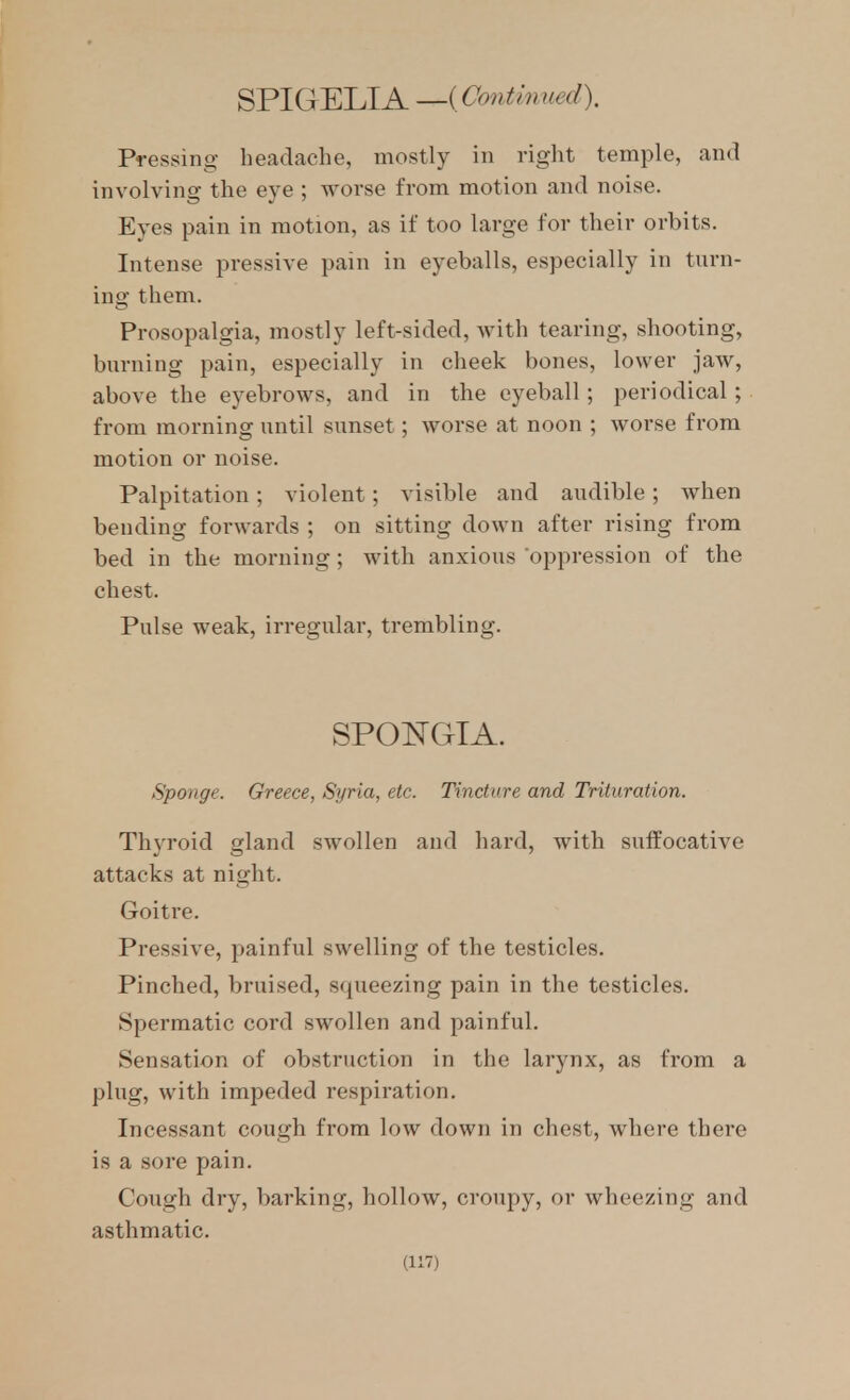 Pressing headache, mostly in right temple, and involving the eye ; worse from motion and noise. Eyes pain in motion, as if too large for their orbits. Intense pressive pain in eyeballs, especially in turn- ing them. Prosopalgia, mostly left-sided, with tearing, shooting, burning pain, especially in cheek bones, lower jaw, above the eyebrows, and in the eyeball; periodical; from morning until sunset; worse at noon ; worse from motion or noise. Palpitation; violent; visible and audible; when bending foi'wards ; on sitting down after rising from bed in the morning ; with anxious oppression of the chest. Pulse weak, irregular, trembling. SPONGIA. Sponge. Greece, Syria, etc. Tinclare and Trituration. Thyroid gland swollen and hard, with suffocative attacks at night. Goitre. Pressive, painful swelling of the testicles. Pinched, bruised, squeezing pain in the testicles. Spermatic cord swollen and painful. Sensation of obstruction in the larynx, as from a plug, with impeded respiration. Incessant cough from low down in chest, where there is a sore pain. Cough dry, barking, hollow, croupy, or wheezing and asthmatic.