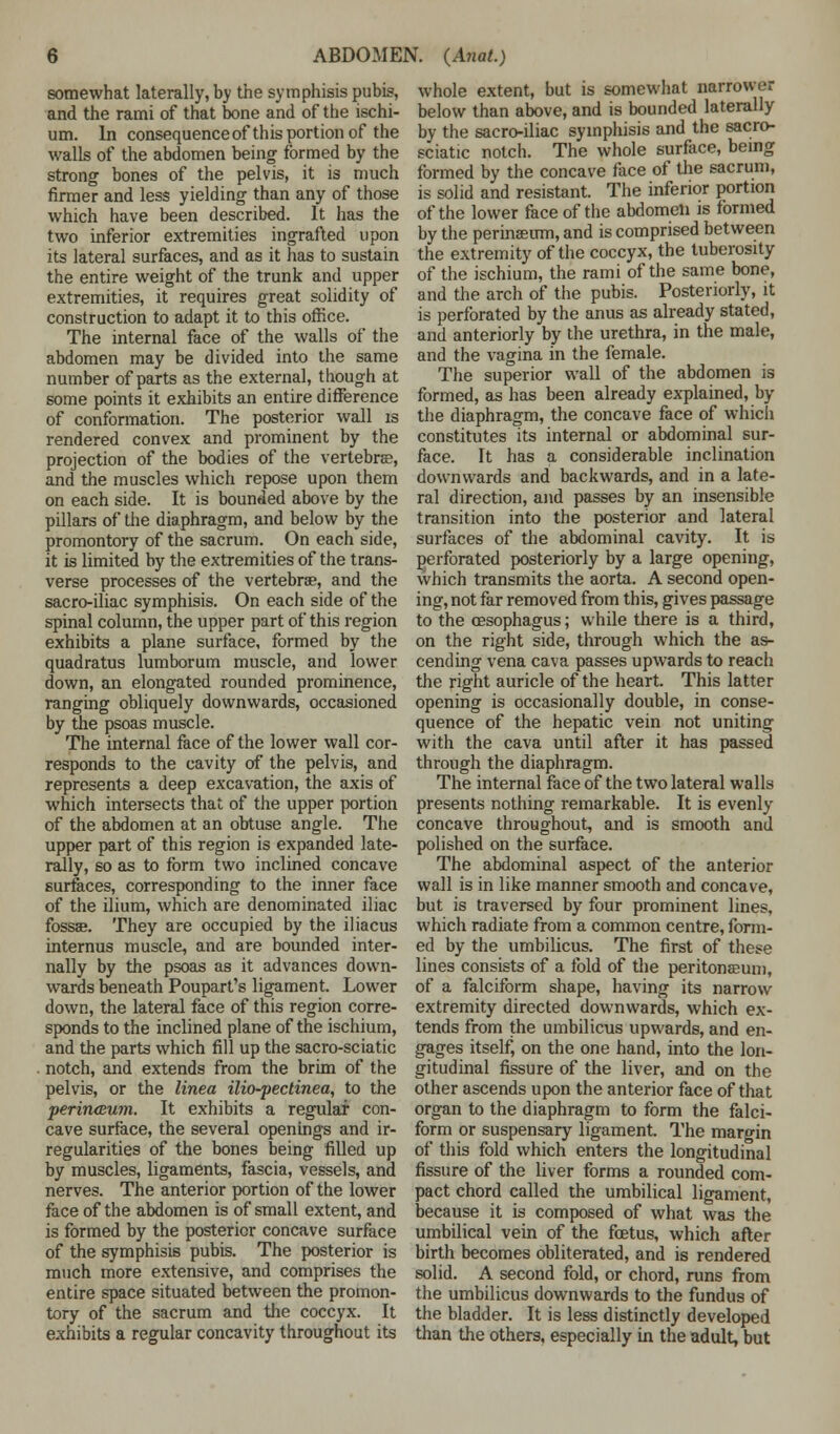 somewhat laterally, by the symphisis pubis, and the rami of that bone and of the ischi- um. In consequence of this portion of the walls of the abdomen being formed by the strong bones of the pelvis, it is much firmer and less yielding than any of those which have been described. It has the two inferior extremities ingrafted upon its lateral surfaces, and as it has to sustain the entire weight of the trunk and upper extremities, it requires great solidity of construction to adapt it to this office. The internal face of the walls of the abdomen may be divided into the same number of parts as the external, though at some points it exhibits an entire difference of conformation. The posterior wall is rendered convex and prominent by the projection of the bodies of the vertebrae, and the muscles which repose upon them on each side. It is bounded above by the pillars of the diaphragm, and below by the promontory of the sacrum. On each side, it is limited by the extremities of the trans- verse processes of the vertebrae, and the sacro-iliac symphisis. On each side of the spinal column, the upper part of this region exhibits a plane surface, formed by the quadratus lumborum muscle, and lower down, an elongated rounded prominence, ranging obliquely downwards, occasioned by the psoas muscle. The internal face of the lower wall cor- responds to the cavity of the pelvis, and represents a deep excavation, the axis of which intersects that of the upper portion of the abdomen at an obtuse angle. The upper part of this region is expanded late- rally, so as to form two inclined concave surfaces, corresponding to the inner face of the ilium, which are denominated iliac fossae. They are occupied by the iliacus internus muscle, and are bounded inter- nally by the psoas as it advances down- wards beneath Poupart's ligament. Lower down, the lateral face of this region corre- sponds to the inclined plane of the ischium, and the parts which fill up the sacro-sciatic notch, and extends from the brim of the pelvis, or the linea ilio-pectinea, to the perin<Bu?n. It exhibits a regular con- cave surface, the several openings and ir- regularities of the bones being filled up by muscles, ligaments, fascia, vessels, and nerves. The anterior portion of the lower face of the abdomen is of small extent, and is formed by the posterior concave surface of the symphisis pubis. The posterior is much more extensive, and comprises the entire space situated between the promon- tory of the sacrum and the coccyx. It exhibits a regular concavity throughout its whole extent, but is somewhat narrower below than above, and is bounded laterally by the sacro-iliac symphisis and the sacro- sciatic notch. The whole surface, being formed by the concave face of the sacrum, is solid and resistant. The inferior portion of the lower face of the abdomen is formed by the perinaeirm, and is comprised between the extremity of the coccyx, the tuberosity of the ischium, the rami of the same bone, and the arch of the pubis. Posteriorly, it is perforated by the anus as already stated, and anteriorly by the urethra, in the male, and the vagina in the female. The superior wall of the abdomen is formed, as has been already explained, by the diaphragm, the concave face of which constitutes its internal or abdominal sur- face. It has a considerable inclination downwards and backwards, and in a late- ral direction, and passes by an insensible transition into the posterior and lateral surfaces of the abdominal cavity. It is perforated posteriorly by a large opening, which transmits the aorta. A second open- ing, not far removed from this, gives passage to the oesophagus; while there is a third, on the right side, through which the as- cending vena cava passes upwards to reach the right auricle of the heart. This latter opening is occasionally double, in conse- quence of the hepatic vein not uniting with the cava until after it has passed through the diaphragm. The internal face of the two lateral walls presents nothing remarkable. It is evenly concave throughout, and is smooth and polished on the surface. The abdominal aspect of the anterior wall is in like manner smooth and concave, but is traversed by four prominent lines, which radiate from a common centre, form- ed by the umbilicus. The first of these lines consists of a fold of the peritonaeum, of a falciform shape, having its narrow extremity directed downwards, which ex- tends from the umbilicus upwards, and en- gages itself, on the one hand, into the lon- gitudinal fissure of the liver, and on the other ascends upon the anterior face of that organ to the diaphragm to form the falci- form or suspensary ligament. The margin of this fold which enters the longitudinal fissure of the liver forms a rounded com- pact chord called the umbilical ligament, because it is composed of what was the umbilical vein of the foetus, which after birth becomes obliterated, and is rendered solid. A second fold, or chord, runs from the umbilicus downwards to the fundus of the bladder. It is less distinctly developed than the others, especially in the adult, but
