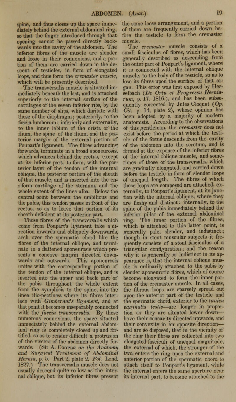 spine, and thus closes up the space imme- diately behind the external abdominal ring, so that the finger introduced through that opening cannot be passed directly back- wards into the cavity of the abdomen. The inferior fibres of the muscle are slender and loose in their connexions, and a por- tion of them are carried down in the de- scent of testicles, in form of elongated loops, and thus tbrm the cremaster muscle, which will be presently described. The transversalis muscle is situated im- mediately beneath the last, and is attached superiorly to the internal surface of the cartilages of the seven inferior ribs, by the same number of slips, which digitate with those of the diaphragm; posteriorly, to the fascia lumborum; interiorly and externally, to the inner labium of the crista of the ilium, the spine of the ilium, and the pos- terior margin of the external portion of Poupart's ligament. The fibres advancing forwards, terminate in a broad aponeurosis, which advances behind the rectus, except at its inferior part, to form, with the pos- terior layer of the tendon of the internal oblique, the posterior portion of the sheath of that muscle, and is inserted into the en- siform cartilage of the sternum, and the whole extent of the linea alba. Below the central point between the umbilicus and the pubis, this tendon passes in front of the rectus, so as to leave that portion of its sheath deficient at its posterior part Those fibres of the transversalis which come from Poupart's ligament take a di- rection inwards and obliquely downwards, arch over the spermatic chord like the fibres of the internal oblique, and termi- nate in a flattened aponeurosis which pre- sents a concave margin directed down- wards and outwards. This aponeurosis unites with the corresponding portion of the tendon of the internal oblique, and is inserted into the upper and back part of the pubis throughout the whole extent from the symphisis to the spine, into the linea ilio-pectinrca where its fibres inter- lace with GimbernaCs ligament, and at that point it becomes inseparably connected with the fascia transversalis. By these numerous connexions, the space situated immediately behind the external abdom- inal ring is completely closed up and for- tified, so as to render difficult a protrusion of the viscera of the abdomen directly for- wards. (Sir A. Cooper on the Anatomy and Surgical Treatment of Abdominal Hernia, p. 5. Part 2, plate 2. Fol. Lond. 1827.) The transversalis muscle does not usually descend quite so low as the inter- nal oblique, but its inferior fibres present the same loose arrangement, and a portion of them are frequently carried down be- fore the testicle to form the cremaster muscle. The cremaster muscle consists of a small fasciculus of fibres, which has been generally described as descending from the outer part of Poupart's ligament, where it is connected with the internal oblique muscle, to the body of the testicle, so as to lose its fibres upon the surface of that or- gan. This error was first exposed by Hes- selbach (JDe Ortu et Progressu Hernia- rum, p. 17. 1816.), and has been subse- quently corrected by Jules Cloquet {Op. Cit. p. 14, plate 2), whose opinion has been adopted by a majority of modern anatomists. According to the observations of this gentleman, the cremaster does not exist before the period at which the testi- cle of the foetus descends from the cavity of the abdomen into the scrotum, and is formed at the expense of the inferior fibres of the internal oblique muscle, and some- times of those of the transversalis, which are gradually elongated, and carried down before the testicle in form of slender loops of unequal length. The fibres of which these loops are composed are attached, ex- ternally, to Poupart's ligament, at its junc- tion with the internal oblique, where they are fleshy and distinct; internally, to the spine of the pubis immediately behind the inferior pillar of the external abdominal ring. The inner portion of the fibres, which is attached to this latter point, is generally pale, slender, and indistinct; though in stout muscular subjects it fre- quently consists of a stout fasciculus of a triangular configuration; and the reason why it is generally so indistinct in its ap- pearance is, that the internal oblique mus- cle is ordinarily attached to the pubis by slender aponeurotic fibres, which of course become elongated to form the inner por- tion of the cremaster muscle. In all cases, the fibrous loops are sparsely spread out upon the anterior part of the testicle and the spermatic chord, exterior to the tunica vaginalis testis—are longer in propor- tion as they are situated lower down— have their concavity directed upwards, and their convexity in an opposite direction— and are so disposed, that in the vicinity of the ring their fibres are collected into two elongated fasciculi of unequal magnitude, the external of which, the stronger of the two, enters the ring upon the external and anterior portion of the spermatic chord to attach itself to Poupart's ligament, while the internal enters the same aperture near its internal part, to become attached to the