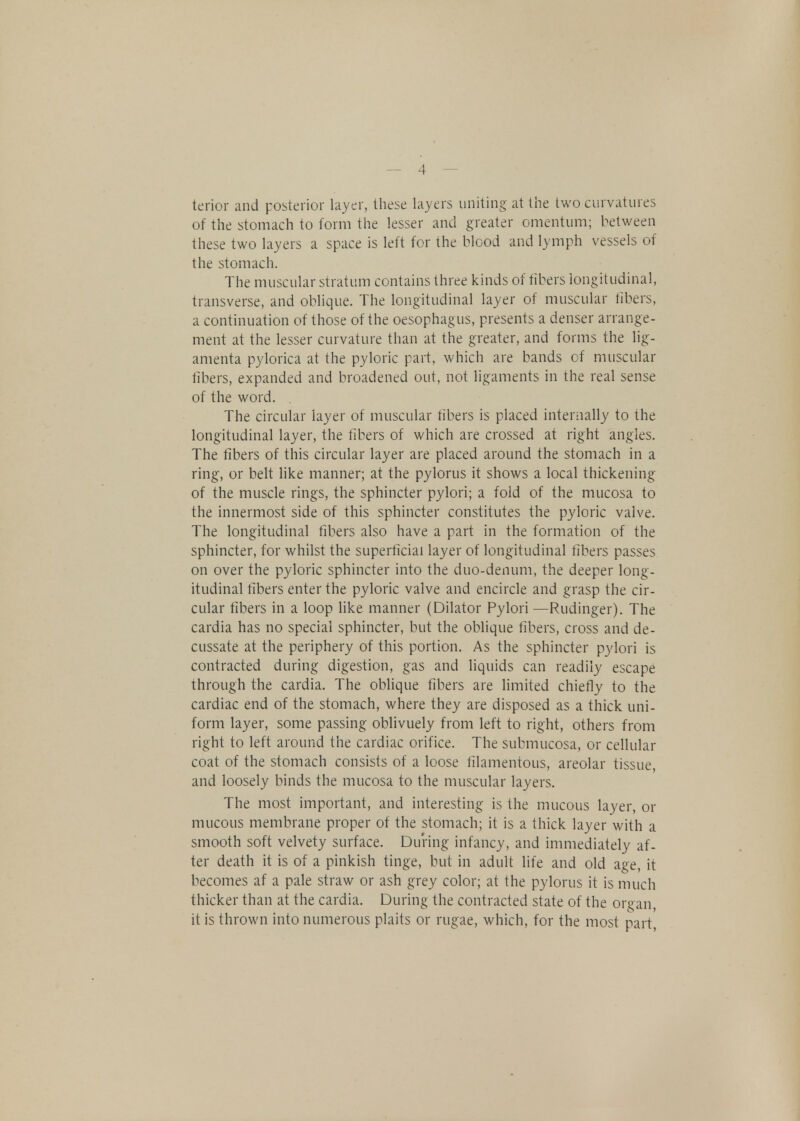 terior and posterior layer, these layers uniting' at the two curvatures of the stomach to form the lesser and greater omentum; between these two layers a space is left for the blood and lymph vessels of the stomach. The muscular stratum contains three kinds of fibers longitudinal, transverse, and oblique. The longitudinal layer of muscular fibers, a continuation of those of the oesophagus, presents a denser arrange- ment at the lesser curvature than at the greater, and forms the lig- amenta pylorica at the pyloric part, which are bands of muscular fibers, expanded and broadened out, not ligaments in the real sense of the word. The circular layer of muscular tibers is placed internally to the longitudinal layer, the fibers of which are crossed at right angles. The fibers of this circular layer are placed around the stomach in a ring, or belt like manner; at the pylorus it shows a local thickening of the muscle rings, the sphincter pylori; a fold of the mucosa to the innermost side of this sphincter constitutes the pyloric valve. The longitudinal fibers also have a part in the formation of the sphincter, for whilst the superficial layer of longitudinal fibers passes on over the pyloric sphincter into the duo-denum, the deeper long- itudinal fibers enter the pyloric valve and encircle and grasp the cir- cular fibers in a loop like manner (Dilator Pylori —Rudinger). The cardia has no special sphincter, but the oblique fibers, cross and de- cussate at the periphery of this portion. As the sphincter pylori is contracted during digestion, gas and liquids can readily escape through the cardia. The oblique fibers are limited chiefly to the cardiac end of the stomach, where they are disposed as a thick uni- form layer, some passing oblivuely from left to right, others from right to left around the cardiac orifice. The submucosa, or cellular coat of the stomach consists of a loose filamentous, areolar tissue, and loosely binds the mucosa to the muscular layers. The most important, and interesting is the mucous layer, or mucous membrane proper of the stomach; it is a thick layer with a smooth soft velvety surface. During infancy, and immediately af- ter death it is of a pinkish tinge, but in adult life and old age, it becomes af a pale straw or ash grey color; at the pylorus it is much thicker than at the cardia. During the contracted state of the or^an, it is thrown into numerous plaits or rugae, which, for the most part,
