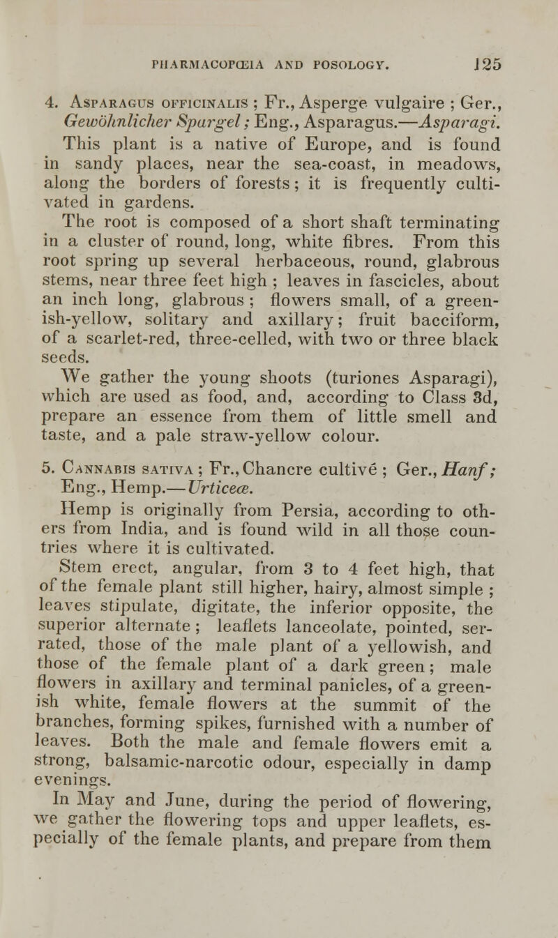 4. Asparagus officinalis ; Fr., Asperge vulgaire ; Ger., Gewohnlicher Spargel; Eng., Asparagus.—Asparagi. This plant is a native of Europe, and is found in sandy places, near the sea-coast, in meadows, along the borders of forests; it is frequently culti- vated in gardens. The root is composed of a short shaft terminating in a cluster of round, long, white fibres. From this root spring up several herbaceous, round, glabrous stems, near three feet high ; leaves in fascicles, about an inch long, glabrous ; flowers small, of a green- ish-yellow, solitary and axillary; fruit bacciform, of a scarlet-red, three-celled, with two or three black seeds. We gather the young shoots (turiones Asparagi), which are used as food, and, according to Class 3d, prepare an essence from them of little smell and taste, and a pale straw-yellow colour. 5. Cannabis sativa ; Fr., Chancre cultive ; Ger., Hanf; Eng., Hemp.— Urticece. Hemp is originally from Persia, according to oth- ers from India, and is found wild in all those coun- tries where it is cultivated. Stem erect, angular, from 3 to 4 feet high, that of the female plant still higher, hairy, almost simple ; leaves stipulate, digitate, the inferior opposite, the superior alternate ; leaflets lanceolate, pointed, ser- rated, those of the male plant of a yellowish, and those of the female plant of a dark green; male flowers in axillary and terminal panicles, of a green- ish white, female flowers at the summit of the branches, forming spikes, furnished with a number of leaves. Both the male and female flowers emit a strong, balsamic-narcotic odour, especially in damp evenings. In May and June, during the period of flowering, we gather the flowering tops and upper leaflets, es- pecially of the female plants, and prepare from them