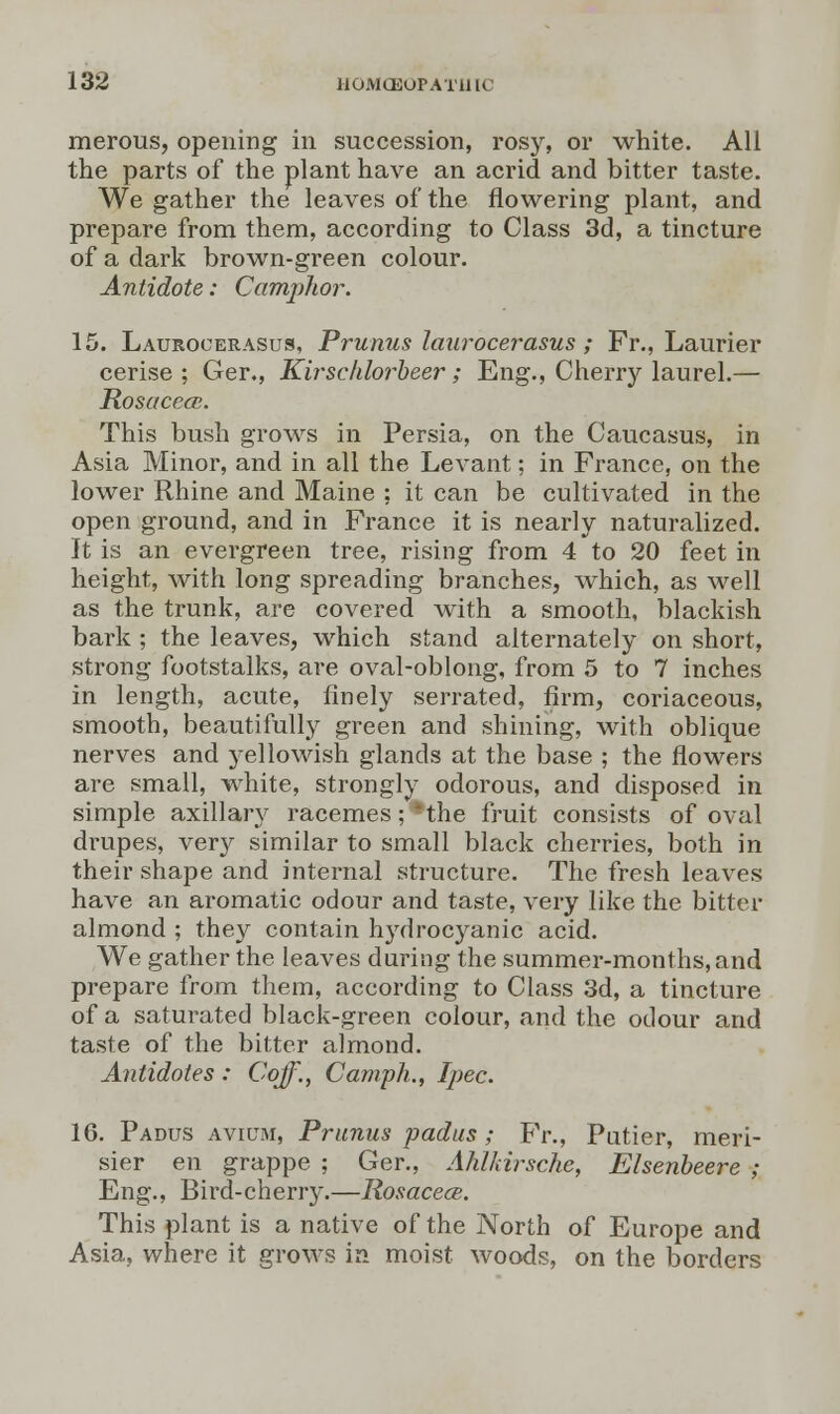 merous, opening in succession, rosy, or white. All the parts of the plant have an acrid and bitter taste. We gather the leaves of the flowering plant, and prepare from them, according to Class 3d, a tincture of a dark brown-green colour. Antidote: Camphor. 15. Laurooerasus, Prunus laurocerasus; Fr., Laurier cerise ; Ger., Kirscldorbeer; Eng., Cherry laurel.— Rosacea;. This bush grows in Persia, on the Caucasus, in Asia Minor, and in all the Levant; in France, on the lower Rhine and Maine ; it can be cultivated in the open ground, and in France it is nearly naturalized. It is an evergreen tree, rising from 4 to 20 feet in height, with long spreading branches, which, as well as the trunk, are covered with a smooth, blackish bark ; the leaves, which stand alternately on short, strong footstalks, are oval-oblong, from 5 to 7 inches in length, acute, finely serrated, firm, coriaceous, smooth, beautifully green and shining, with oblique nerves and yellowish glands at the base ; the flowers are small, white, strongly odorous, and disposed in simple axillary racemes; *the fruit consists of oval drupes, very similar to small black cherries, both in their shape and internal structure. The fresh leaves have an aromatic odour and taste, very like the bitter almond ; they contain hydrocyanic acid. We gather the leaves during the summer-months, and prepare from them, according to Class 3d, a tincture of a saturated black-green colour, and the odour and taste of the bitter almond. Antidotes : Cojf., Camph., Ipec. 16. Padus avium, Prunus padus; Fr., Patier, meri- sier en grappe ; Ger., Ahlkirsche, Elsenbeere ; Eng., Bird-cherry.—Rosacea. This plant is a native of the North of Europe and Asia, where it grows in moist woods, on the borders