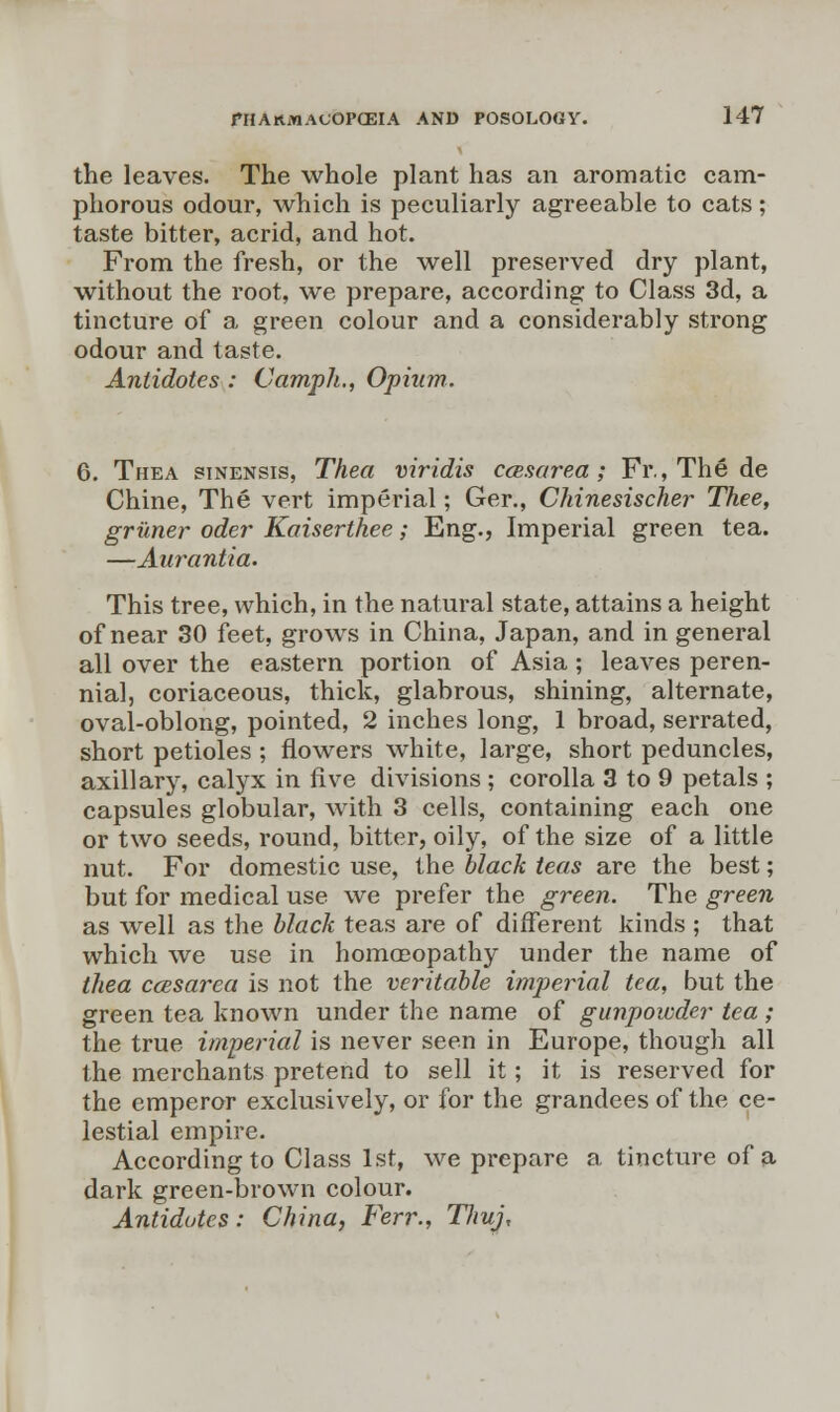 the leaves. The whole plant has an aromatic cam- phorous odour, which is peculiarly agreeable to cats; taste bitter, acrid, and hot. From the fresh, or the well preserved dry plant, without the root, we prepare, according to Class 3d, a tincture of a green colour and a considerably strong odour and taste. Antidotes: Camph., Opium. 6. Thea sinensis, Thea viridis ccesarea; Fr, The de Chine, The vert imperial; Ger., Chinesischer Thee, griiner oder Kaiserthee; Eng., Imperial green tea. —Aurantia. This tree, which, in the natural state, attains a height of near 30 feet, grows in China, Japan, and in general all over the eastern portion of Asia ; leaves peren- nial, coriaceous, thick, glabrous, shining, alternate, oval-oblong, pointed, 2 inches long, 1 broad, serrated, short petioles ; flowers white, large, short peduncles, axillary, calyx in five divisions ; corolla 3 to 9 petals ; capsules globular, with 3 cells, containing each one or two seeds, round, bitter, oily, of the size of a little nut. For domestic use, the black teas are the best; but for medical use we prefer the green. The green as well as the black teas are of different kinds ; that which we use in homoeopathy under the name of thea casarea is not the veritable imperial tea, but the green tea known under the name of gunpowder tea ; the true imperial is never seen in Europe, though all the merchants pretend to sell it; it is reserved for the emperor exclusively, or for the grandees of the ce- lestial empire. According to Class 1st, we prepare a tincture of a dark green-brown colour. Antidotes: China, Ferr., Tliuj,