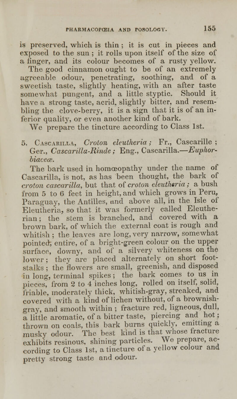 is preserved, which is thin ; it is cut in pieces and exposed to the sun ; it rolls upon itself of the size of a ringer, and its colour becomes of a rusty yellow. The good cinnamon ought to be of an extremely agreeable odour, penetrating, soothing, and of a sweetish taste, slightly heating, with an after taste somewhat pungent, and a little styptic. Should it have a strong taste, acrid, slightly bitter, and resem- bling the clove-berry, it is a sign that it is of an in- ferior quality, or even another kind of bark. We prepare the tincture according to Class 1st. 5. Cascarilla, Croton eleutheria; Fr., Cascarille ; Ger., Cascarilla-Rinde; Eng., Cascarilla.—Euphor- biacecs. The bark used in homoeopathy under the name of Cascarilla, is not, as has been thought, the bark of croton cascarilla, but that of croton eleutheria; a bush from 5 to 6 feet in height, and which grows in Peru, Paraguay, the Antilles, and above all, in the Isle of Eleutheria, so that it was formerly called Eleuthe- rian; the stem is branched, and covered with a brown bark, of which the external coat is rough and whitish ; the leaves are long, very narrow, somewhat pointed, entire, of a bright-green colour on the upper surface, downy, and of a silvery whiteness on the lower; they are placed alternately on short foot- stalks ; the 'flowers are small, greenish, and disposed in long, terminal spikes; the bark comes to us in pieces, from 2 to 4 inches long, rolled on itself, solid, friable, moderately thick, whitish-gray, streaked, and covered with a kind of lichen without, of a brownish- gray, and smooth within ; fracture red, ligneous, dull, a little aromatic, of a bitter taste, piercing and hot; thrown on coals, this bark burns quickly, emitting a musky odour. The best kind is that whose fracture exhibits resinous, shining particles. We prepare, ac- cording to Class 1st, a tincture of a yellow colour and pretty strong taste and odour.