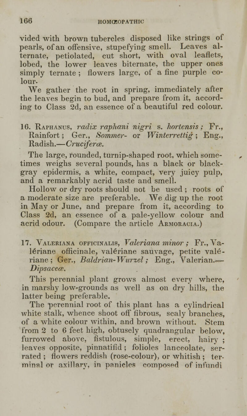 vided with brown tubercles disposed like strings of pearls, of an offensive, stupefying smell. Leaves al- ternate, petiolated, cut short, with oval leaflets, lobed, the lower leaves biternate, the upper ones simply ternate ; flowers large, of a fine purple co- lour. We gather the root in spring, immediately after the leaves begin to bud, and prepare from it, accord- ing to Class 2d, an essence of a beautiful red colour. 16. Raphanus, radix raphani nigri s. hortensis; Fr., Rainfort; Ger., Sommer- or Winterrettig; Eng., Rad ish.—CrucifercB. The large, rounded, turnip-shaped root, which some- times weighs several pounds, has a black or black- gray epidermis, a white, compact, very juicy pulp, and a remarkably acrid taste and smell. Hollow or dry roots should not be used ; roots of a moderate size are preferable. We dig up the root in May or June, and prepare from it, according to Class 2d, an essence of a pale-yellow colour and acrid odour. (Compare the article Armoracia.) 17. Valeriana officinalis, Valeriana minor; Fr., Va- 16riane officinale, valeriane sauvage, petite vale- riane ; Ger., Baldrian-Wurzel; Eng., Valerian.,— Dipsacece. This perennial plant grows almost every where, in marshy low-grounds as well as on dry hills, the latter being preferable. The perennial root of this plant has a cylindrical white stalk, whence shoot off fibrous, scaly branches, of a white colour within, and brown without. Stem from 2 to 6 feet high, obtusely quadrangular below, furrowed above, fistulous, simple, erect, hairy ; leaves opposite, pinnatifid; folioles lanceolate, ser- rated ; flowers reddish (rose-colour), or whitish; ter- minal or axillary, in panicles composed of infundi