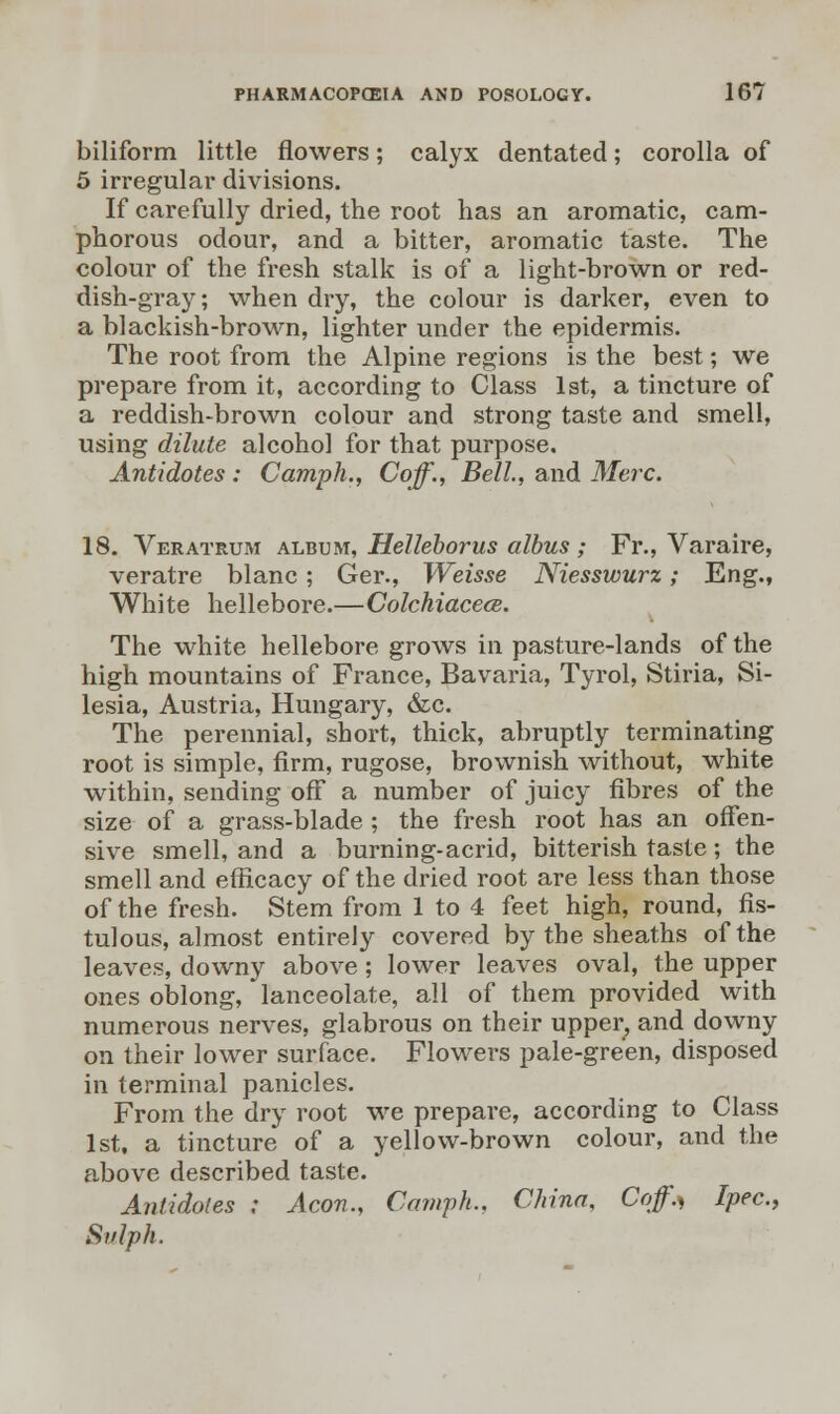 biliform little flowers; calyx dentated; corolla of 5 irregular divisions. If carefully dried, the root has an aromatic, cam- phorous odour, and a bitter, aromatic taste. The colour of the fresh stalk is of a light-brown or red- dish-gray ; when dry, the colour is darker, even to a blackish-brown, lighter under the epidermis. The root from the Alpine regions is the best; we prepare from it, according to Class 1st, a tincture of a reddish-brown colour and strong taste and smell, using dilute alcohol for that purpose. Antidotes: Camph., Coff., Bell, and Merc. 18. Veratrum album, Helleborus albus ; Fr., Varaire, veratre blanc; Ger., Weisse Niesswurz; Eng., White hellebore.—Colchiacece. The white hellebore grows in pasture-lands of the high mountains of France, Bavaria, Tyrol, Stiria, Si- lesia, Austria, Hungary, &c. The perennial, short, thick, abruptly terminating root is simple, firm, rugose, brownish without, white within, sending off a number of juicy fibres of the size of a grass-blade; the fresh root has an offen- sive smell, and a burning-acrid, bitterish taste; the smell and efficacy of the dried root are less than those of the fresh. Stem from 1 to 4 feet high, round, fis- tulous, almost entirely covered by the sheaths of the leaves, downy above; lower leaves oval, the upper ones oblong, lanceolate, all of them provided with numerous nerves, glabrous on their upper, and downy on their lower surface. Flowers pale-green, disposed in terminal panicles. From the dry root we prepare, according to Class 1st, a tincture of a yellow-brown colour, and the above described taste. Antidotes : Aeon., Camph.. China, Coff* Ipec, Sulph.