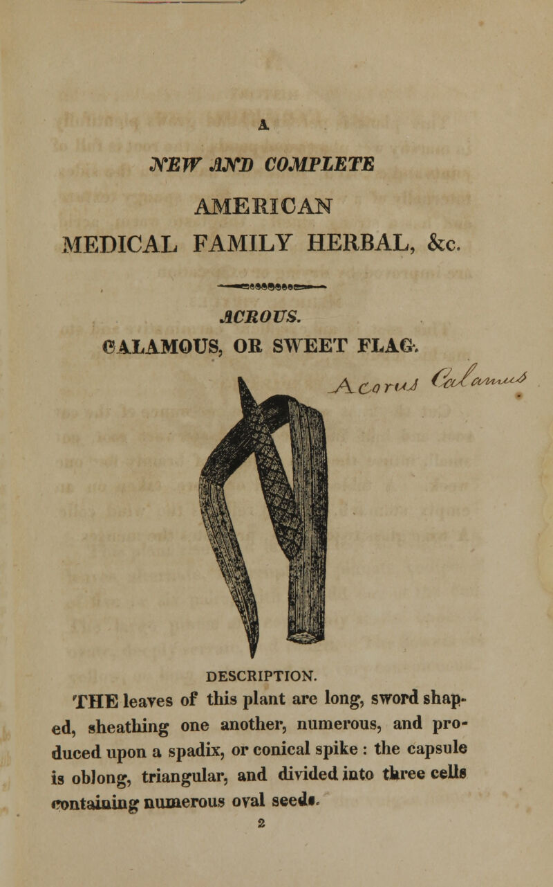 NEW AMD COMPLETE AMERICAN MEDICAL FAMILY HERBAL, &c. ACROUS. 6ALAMQUS, OR SWEET FLAG. DESCRIPTION. THE leaves of this plant are long, swopd shap- ed, sheathing one another, numerous, and pro- duced upon a spadix, or conical spike : the capsule is oblong, triangular, and divided into tkree cells containing numerous oval seedi.