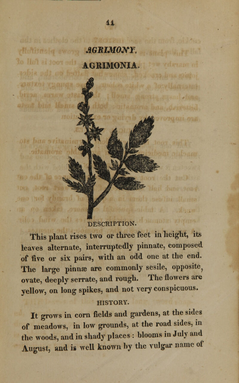 14 AGRIMONY, AGMMONIA DESCRIPTION. This plant rises two or three feet in height, its leaves alternate, interruptedly pinnate, composed of five or six pairs, with an odd one at the end. The large pinna? are commonly sesile, opposite ? ovate, deeply serrate, and rough. The flowers are yellow, on long spikes, and not very conspicuous. HISTORY. It grows in corn fields and gardens, at the sides of meadows, in low grounds, at the road sides, in the woods, and in shady places : hlooms in July and August, and i§ well known hy the vulgar name of