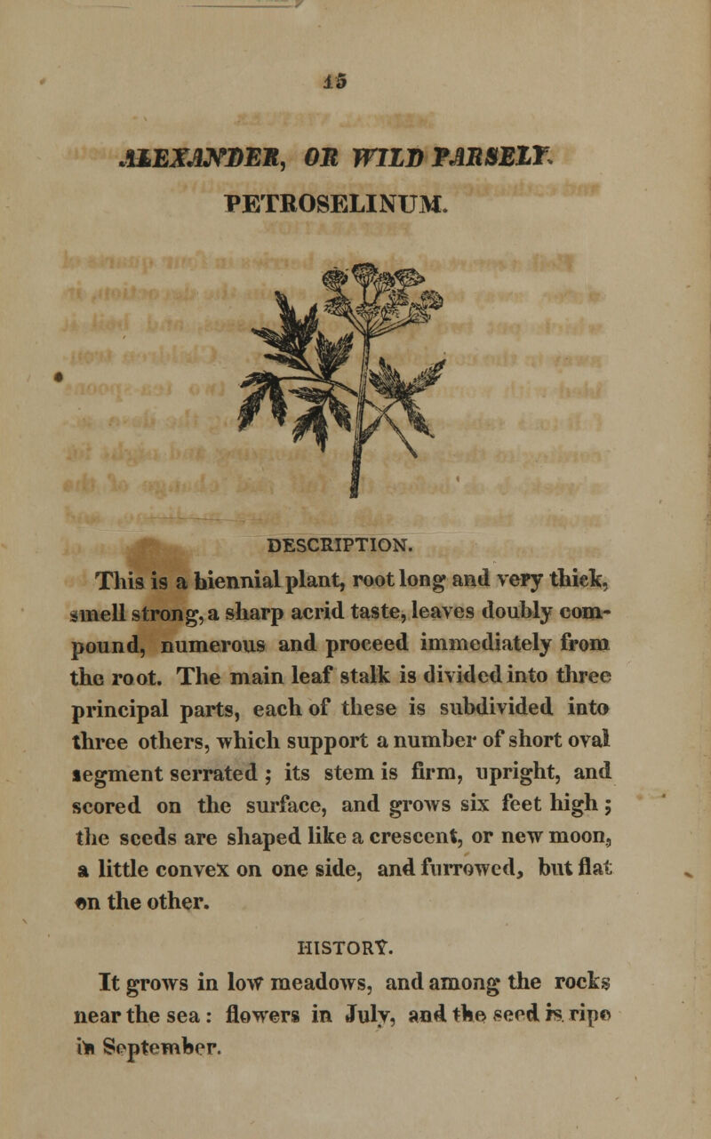 ±5 jaEXJwmn, on wild tabsblt, VETROSELINUM. DESCRIPTION. This is a biennial plant, root long and very thielc, smell strong, a sharp acrid taste, leaves doubly com- pound, numerous and proceed immediately from the root. The main leaf stalk is divided into three principal parts, each of these is subdivided into three others, which support a number of short oval segment serrated ; its stem is firm, upright, and scored on the surface, and grows six feet high; the seeds are shaped like a crescent, or new moon, a little convex on one side, and furrowed, but flat f>n the other. HISTORY. It grows in low meadows, and among the rocks near the sea: flowers in July, and the seed h ripe tin September.