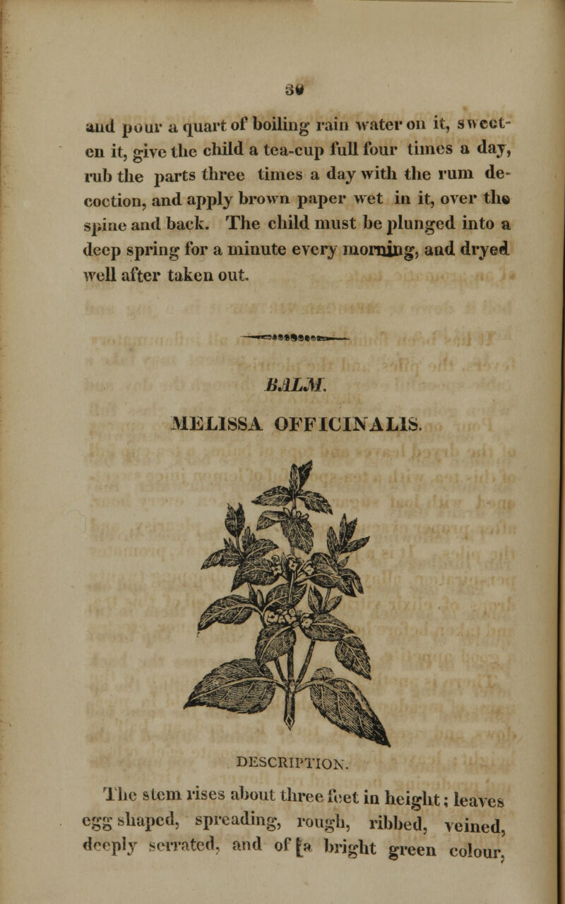 31 and pour a quart of boiling rain water on it, sweet- en it, give the child a tea-cup full four times a day, rub the parts three times a day with the rum de- coction, and apply brown paper wet in it, over the spine and back. The child must be plunged into a deep spring for a minute every morning, and dryed well after taken out. BALM. MELISSA OFFICINALIS. DESCRIPTION. The stem rises about three feet in height; leaves egg shaped, spreading, rough, ribbed, veined, deeply serrated, and of [a bright green colour.