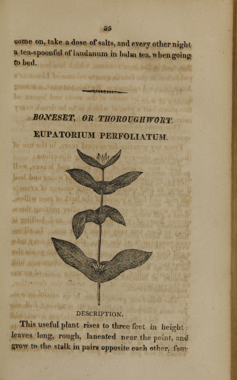 come on, take a dose of salts, and every other night a tea-spoonful of laudanum in balm tea, when going to bed. »ws®»w« BONESET, OR THOROUGH WORT. EUPATOMUM PERFOLIATUM. DESCRIPTION. This useful plant rises to three feet in height: leaves long, rough, laneated near the point, and grow to the stalk in pairs opposite each other, font-
