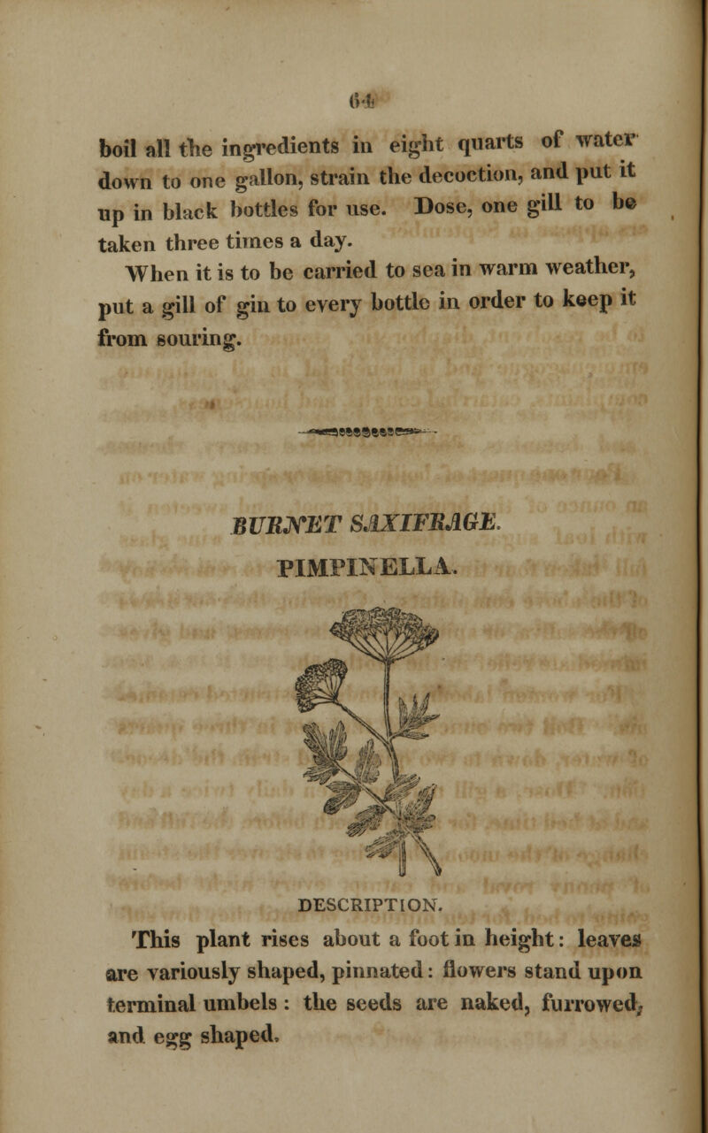 (>4 boil all the ingredients in eight quarts of water down to one gallon, strain the decoction, and put it up in black bottles for use. Dose, one gill to be taken three times a day. When it is to be carried to sea in warm weather, put a gill of gin to every bottle in order to keep it from souring. BURNET SJIXIFRJ1GE. PIMPINELLA. \ DESCRIPTION. This plant rises about a foot in height: leave* ore variously shaped, pinnated: flowers stand upon terminal umbels : the seeds are naked, furrowed; and egg shaped,