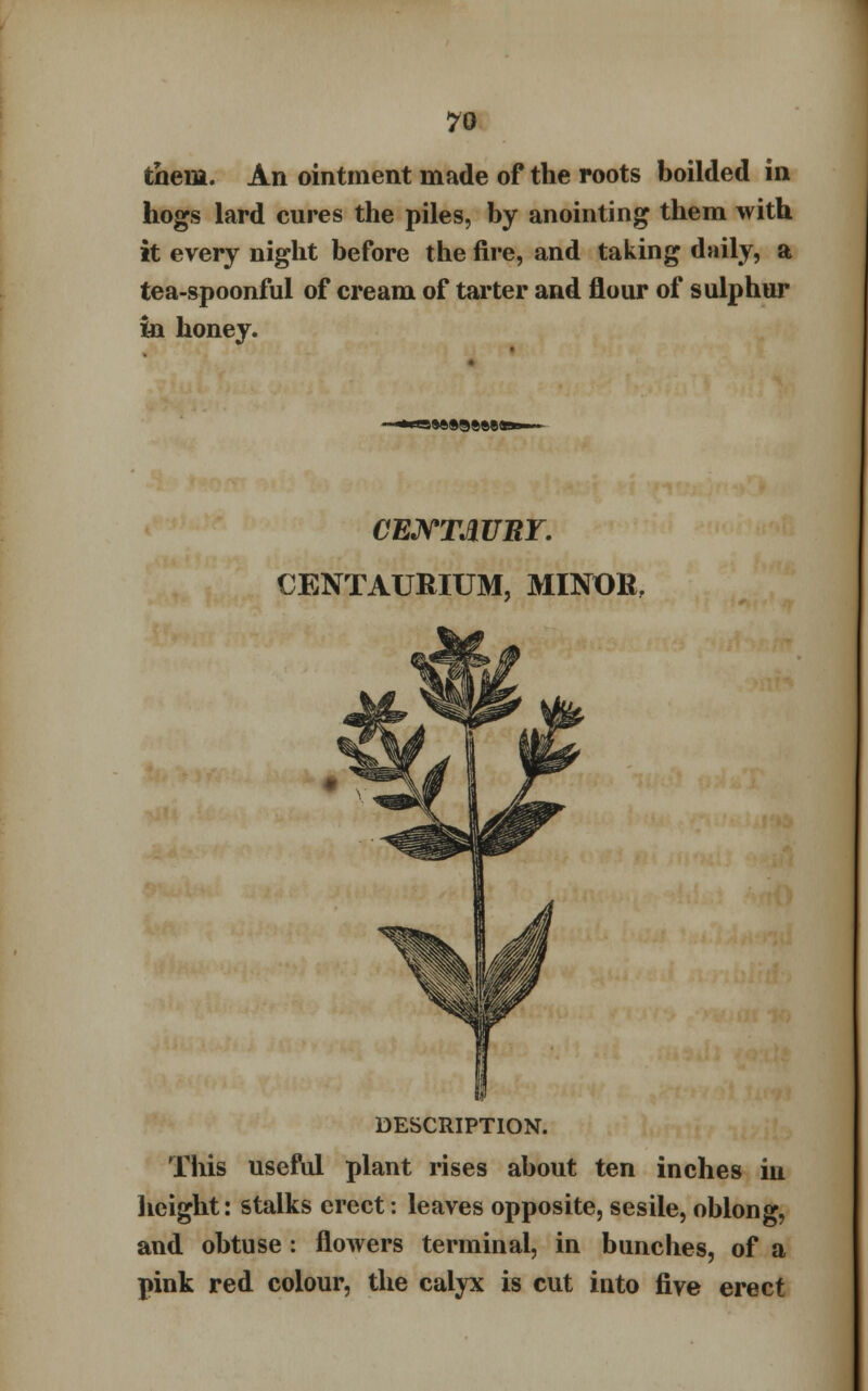them. An ointment made of the roots boilded in hogs lard cures the piles, by anointing them with it every night before the fire, and taking daily, a tea-spoonful of cream of tarter and flour of sulphur m honey. CENTAURY. CENTAURIUM, MINOR, DESCRIPTION. This useful plant rises about ten inches in height: stalks erect: leaves opposite, sesiie, oblong, and obtuse : flowers terminal, in bunches, of a pink red colour, the calyx is cut into five erect