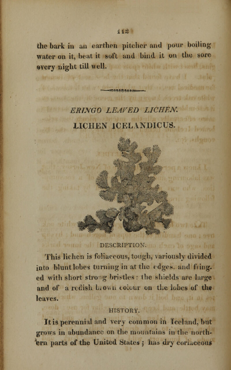 ill the bark in an earthen pitcher and pour boiling water on it, beat it soft and bind it on the sore every night till well. 9«8«©9ese ERLXGO LEAFED LICHEN. LICHEN 1CEL YNDICUS. w ^§l DESCRIPTION. This lichen is foliaeeous, tough, variously divided into blunt lobes turning in at the edges, and fiing- ed with short strong bristles : the shields are large and of a radish biowh colour on the lobes of tht leaves. HISTORY. It is perennial and very common in Iceland, but grows in abundance on the mountains in the north- ern parts of the United States j has dry coriaceous