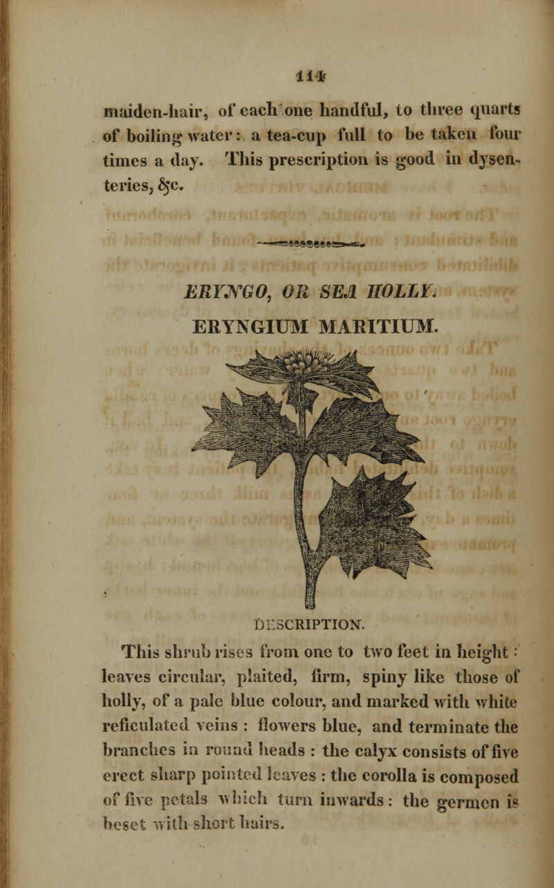 11* maiden-hair, of each one handful, to three quarts of boiling water: a tea-cup full to be taken four times a day. This prescription is good in dysen- teries, £jc. «®»eeee ERYNGO, OR SEA HOLM, ERYNGIUM MARITIUM. DESCRIPTION. This shrub rises from one to two feet in height •' leaves circular, plaited, firm, spiny like those of holly, of a pale blue colour, and marked with white reficulated veins : flowers blue, and terminate the branches in round heads : the calyx consists of five erect sharp pointed leaves : the corolla is composed of five petals which turn inwards: the germen is beset with short hairs.