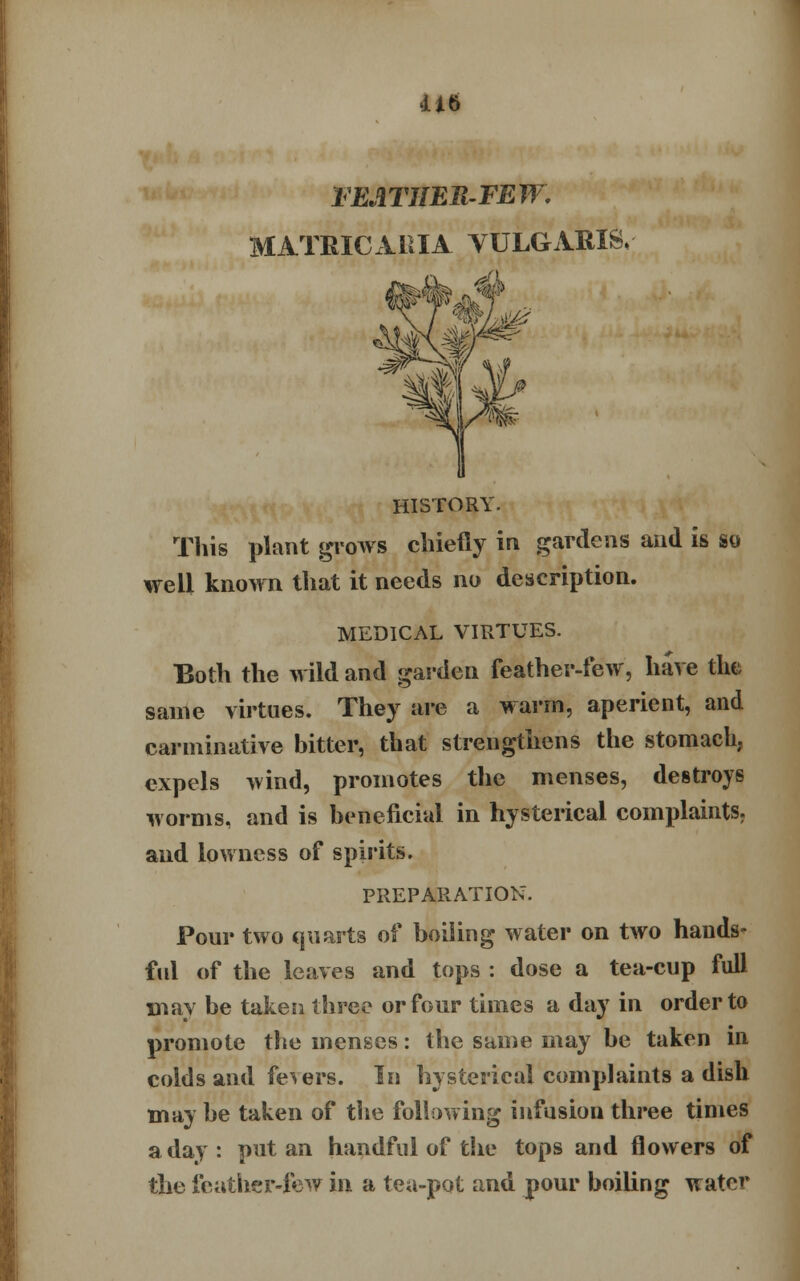 FEATHER-FEW. MATRICxUiXA VULGARIS, HISTORY. This plant grows chiefly in gardens and is so well known that it needs no description. MEDICAL VIRTUES. Both the wild and garden feather-few, hare the same virtues. They are a warm, aperient, and carminative bitter, that strengthens the stomach, expels wind, promotes the menses, destroys worms, and is beneficial in hysterical complaints, and lowncss of spirits. PREPARATION. Pour two quarts of boiling water on two hands* fill of the leaves and tops : dose a tea-cup full may be taken three or four times a day in order to promote the menses: the same may be taken in colds and fevers. In hysterical complaints a dish may be taken of the following infusion three times a day: put an handful of the tops and flowers of the feather-few in a tea-pot and pour boiling water