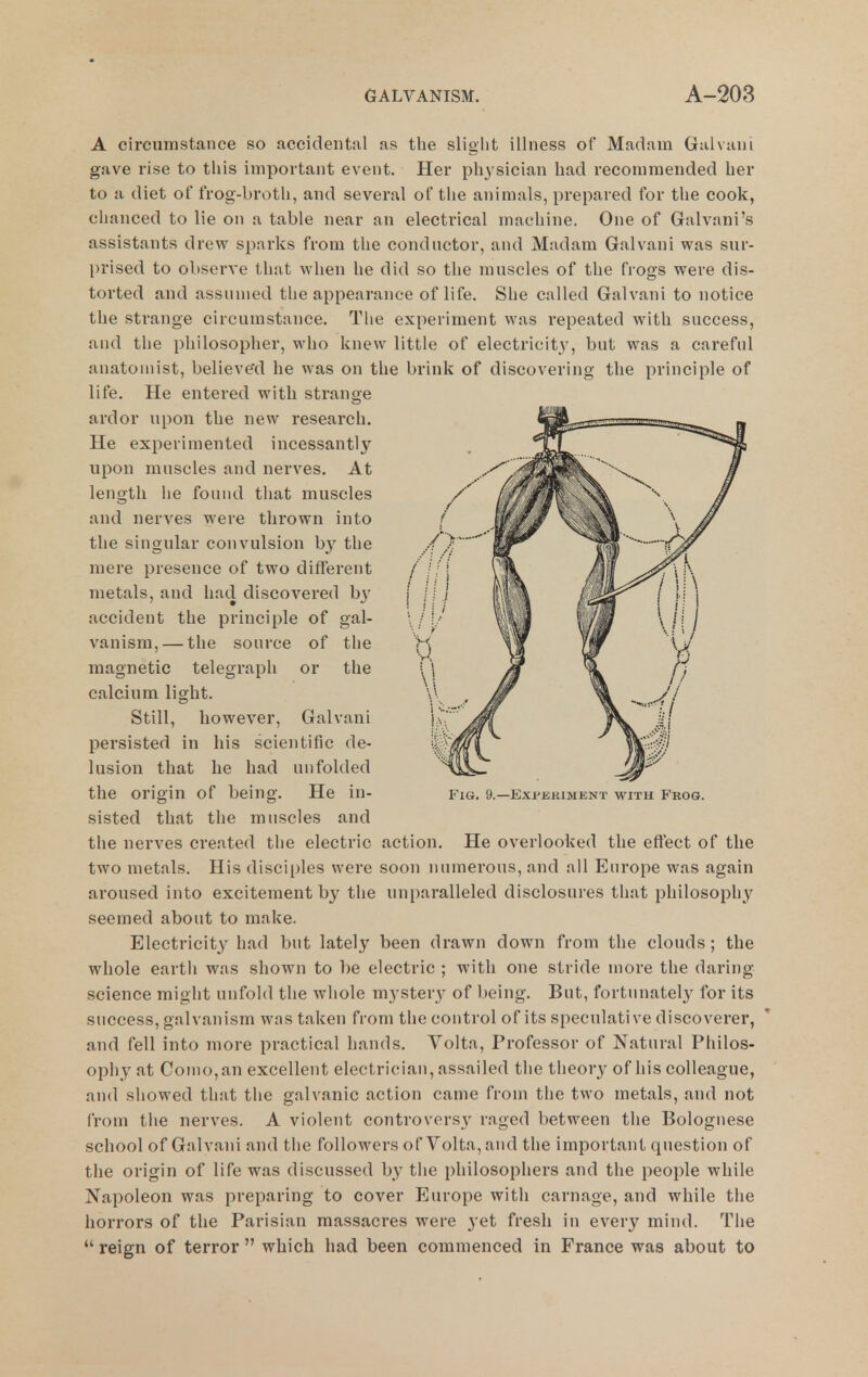 A circumstance so accidental as the slight illness of Madam Gaivuni gave rise to this important event. Her physician had recommended her to a diet of frog-brotli, and several of tlie animals, prepared for the cook, chanced to lie on a table near an electrical machine. One of Galvani's assistants drew sparks from the conductor, and Madam Galvani was sur- prised to observe that when he did so the muscles of the frogs were dis- torted and assumed the appearance of life. She called Galvani to notice the strange circumstance. The experiment was repeated with success, and the philosopher, who knew little of electricity, but was a careful anatomist, believed he was on the brink of discovering the principle of life. He entered with strange ardor upon the new research. He experimented incessantly upon muscles and nerves. At length he found that muscles and nerves were thrown into the singular convulsion by the mere presence of two different metals, and had discovered b}^ accident the principle of gal- vanism,— the source of the magnetic telegraph or the calcium light. Still, however, Galvani persisted in his scientific de- lusion that he had unfolded the origin of being. He in- sisted that the muscles and the nerves created the electric action. He overlooked the eftect of the two metals. His disciples were soon numerous, and all Europe was again aroused into excitement by the unparalleled disclosures that philosophy seemed about to make. Electricity had but lately been drawn down from the clouds; the whole earth was shown to be electric ; with one stride more the daring science might unfold the whole mystery of being. But, fortunately for its success, galvanism was taken from the control of its speculative discoverer, and fell into more practical hands. Volta, Professor of Natural Philos- ophy at Coino,an excellent electrician, assailed the theory of his colleague, and showed that the galvanic action came from the two metals, and not from the nerves. A violent controversy raged between the Bolognese school of Galvani and the followers of Volta, and the important question of the origin of life was discussed by the philosophers and the people while Napoleon was preparing to cover Europe with carnage, and while the horrors of the Parisian massacres were yet fresh in every mind. The  reign of terror  which had been commenced in France was about to Fig. 9.—Experiment with Frog.