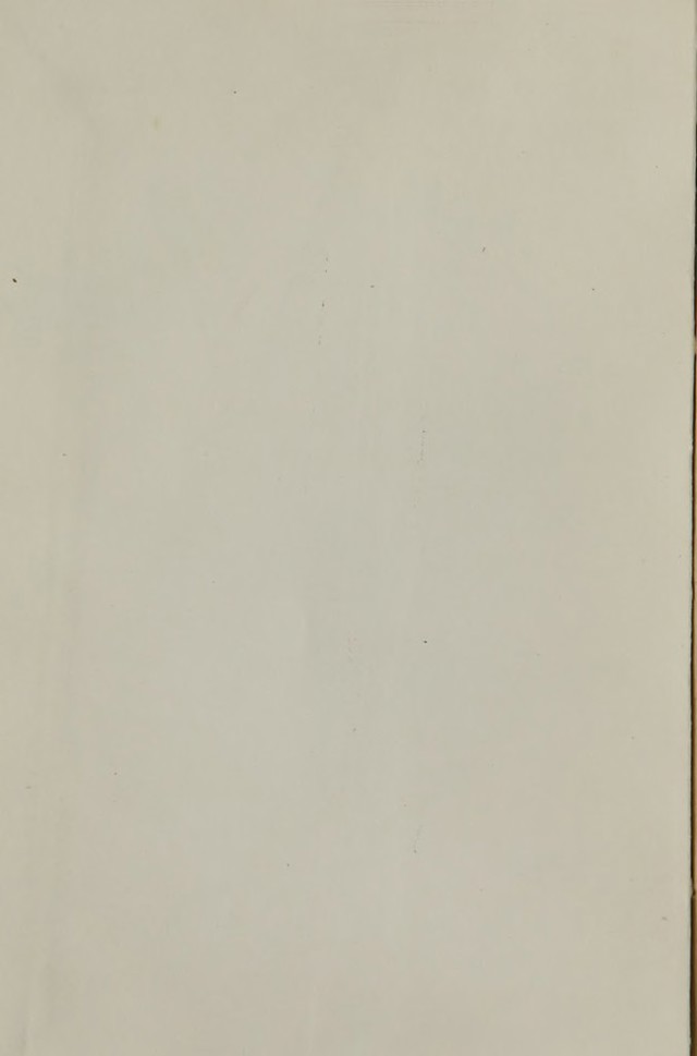 digitised image 2
