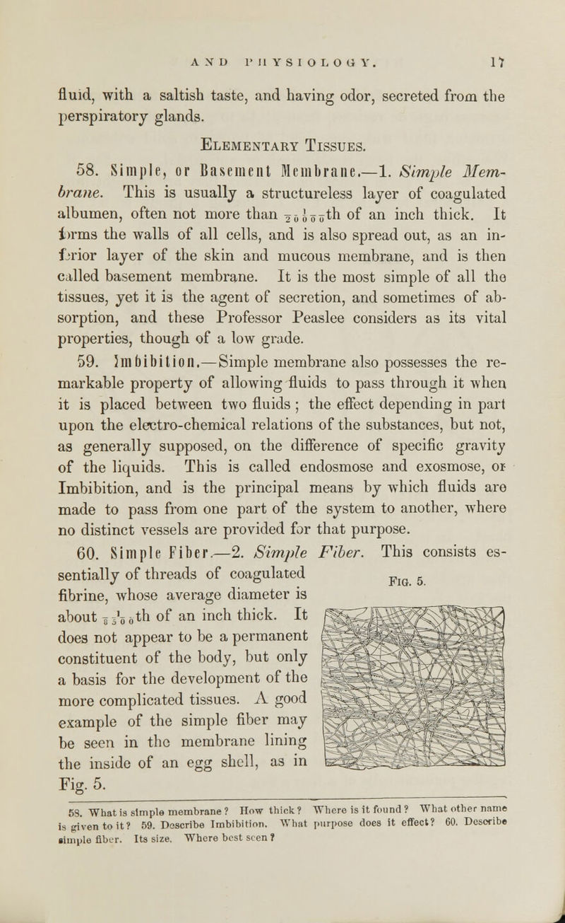 fluid, with a saltish taste, and having odor, secreted from the perspiratory glands. Elementary Tissues. 58. Simple, or Basement Membrane.—1. Simple Mem- brane. This is usually a structureless layer of coagulated albumen, often not more than 26000th of an inch thick. It i>rms the walls of all cells, and is also spread out, as an in- ferior layer of the skin and mucous membrane, and is then called basement membrane. It is the most simple of all the tissues, yet it is the agent of secretion, and sometimes of ab- sorption, and these Professor Peaslee considers as its vital properties, though of a low grade. 59. imbibition.—Simple membrane also possesses the re- markable property of allowing fluids to pass through it when it is placed between two fluids ; the effect depending in part upon the electro-chemical relations of the substances, but not, as generally supposed, on the difference of specific gravity of the liquids. This is called endosmose and exosmose, or- Imbibition, and is the principal means by which fluids are made to pass from one part of the system to another, where no distinct vessels are provided for that purpose. 60. Simple Fiber.—2. Simple Fiber. This consists es- sentially of threads of coagulated y 5 flbrine, whose average diameter is about a i'o bth of an inch thick. It does not appear to be a permanent constituent of the body, but only p a basis for the development of the g more complicated tissues. A good ^ example of the simple fiber may be seen in the membrane lining the inside of an egg shell, as in Fie. 5. 5S. What is simple membrane ? How thick? Where is it found? What other name is given to it? 59. Describe Imbibition. What purpose does it effect? 60. Describe simple fiber. Its size. Where best seen ?