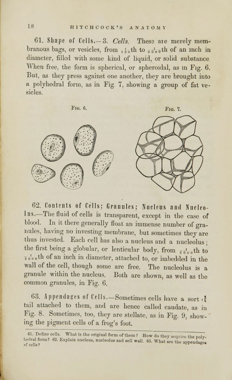 61. Shape of Cells.—3. Cells. Thess are merely mem- branous bags, or vesicles, from , i0th to doluoth °f an incn m diameter, filled with some kind of liquid, or solid substance. When free, the form is spherical, or spheroidal, as in Fig. 6. But, as they press against one another, they are brought into a polyhedral form, as in Fig. 7, showing a group of fat ve- sicles. Fig. 6. Fig. 7. 62. Contents of Cells; Granules; Nucleus and Nucleo- lus.—The fluid of cells is transparent, except in the case of blood. In it there generally float an immense number of gra- nules, having no investing membrane, but sometimes they are thus invested. Each cell has also a nucleus and a nucleolus ; the first being a globular, or lenticular body, from ^'0 0th to e o'o oth of an inch in diameter, attached to, or imbedded in the Wall of the cell, though some are free. The nucleolus is a granule within the nucleus. Both are shown, as well as the common granules, in Fig. 6. 63. Appendages of Cells.—Sometimes cells have a sort <t tail attached to them, and are hence called caudate, as in Fig. 8. Sometimes, too, they are stellate, as in Fig. 9, show- ing the pigment cells of a frog's foot. 61. Define cells. What is the original form of them ? How do they acquire the poly l.edral form? 62. Explain nucleus, nucleolus and oell wall. 63. What are the appendaeea i>f cells? 6