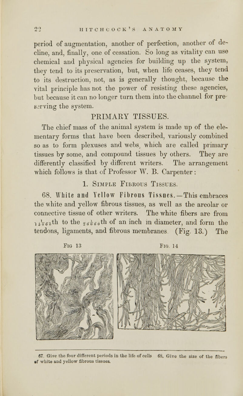 period of augmentation, another of perfection, another of de- cline, and, finally, one of cessation. So long as vitality can use chemical and physical agencies for building up the system, they tend to its preservation, but, when life ceases, they tend to its destruction, not, as is generally thought, because the vital principle has not the power of resisting these agencies, but because it can no longer turn them into the channel for pre serving the system. PRIMARY TISSUES. The chief mass of the animal system is made up of the ele- mentary forms that have been described, variously combined so as to form plexuses and webs, which are called primary tissues by some, and compound tissues by others. They are differently classified by different writers. The arrangement which follows is that of Professor W. B. Carpenter : 1. Simple Fibrous Tissues. 68. White and Yellow Fibrous Tissues.—This embraces the -white and yellow fibrous tissues, as well as the areolar or connective tissue of other writers. The white fibers are from isVooth to the 2o»ooth of an inch in diameter, and form the tendons, ligaments, and fibrous membranes. (Fig. 13.) The Fig 13 Fig. 14 67. Give the four different periods in the life of cells 6S. Give the size of the fibers •f white and yellow fibrous tissues.
