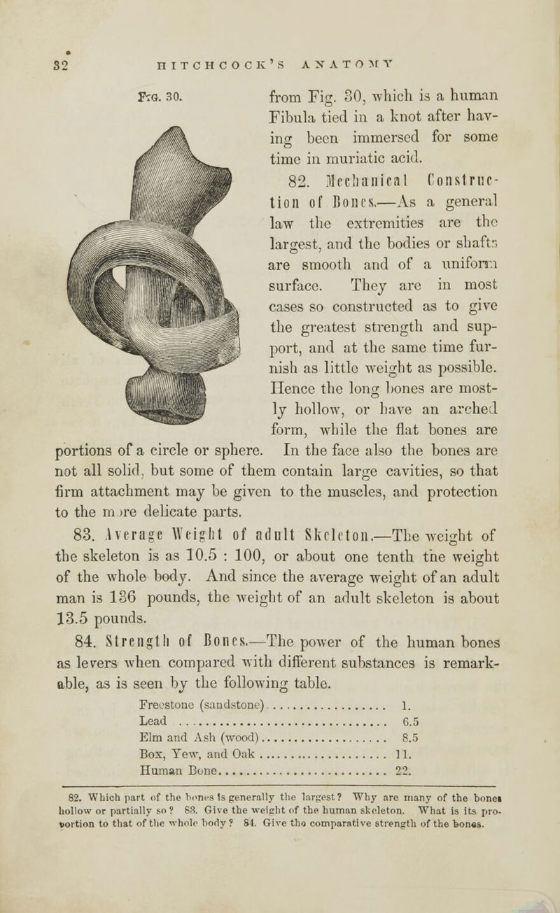 Fig. 30. from Fig. 30, -which is a human Fibula tied in a knot after hav- ing been immersed for some V^ time in muriatic acid. 82. ?J e c Ii a ii i c a 1 Construe- |F tion of Bones.—As a general law the extremities are the largest, and the bodies or shaft-, are smooth and of a uniform surface. They are in most llllik cases so constructed as to give the greatest strength and sup- port, and at the same time fur- nish as little weight as possible. Hence the long bones are most- ly hollow, or have an arched form, while the flat bones are portions of a circle or sphere. In the face also the bones are not all solid, but some of them contain large cavities, so that firm attachment may be given to the muscles, and protection to the m >re delicate parts. 83. Average Weight of adult Skeleton.—The weight of the skeleton is as 10.5 : 100, or about one tenth the weight of the whole body. And since the average weight of an adult man is 136 pounds, the weight of an adult skeleton is about 13.5 pounds. 84. Strength of Bones.—The power of the human bones as levers when compared with different substances is remark- able, as is seen by the following tabic. Freestone (sandstone) 1. Lead 6.5 Elm and Ash (wood) 8.5 Box, Tew, and Oak 11. Human Bone 22. 82. Which part of the bont-s Is generally the largest? Why are many of the bonei hollow or partially so? 83. Give the weight of the human skeleton. What is its pro- portion to that of the whole body? 84. Give tho comparative strength of the bones.