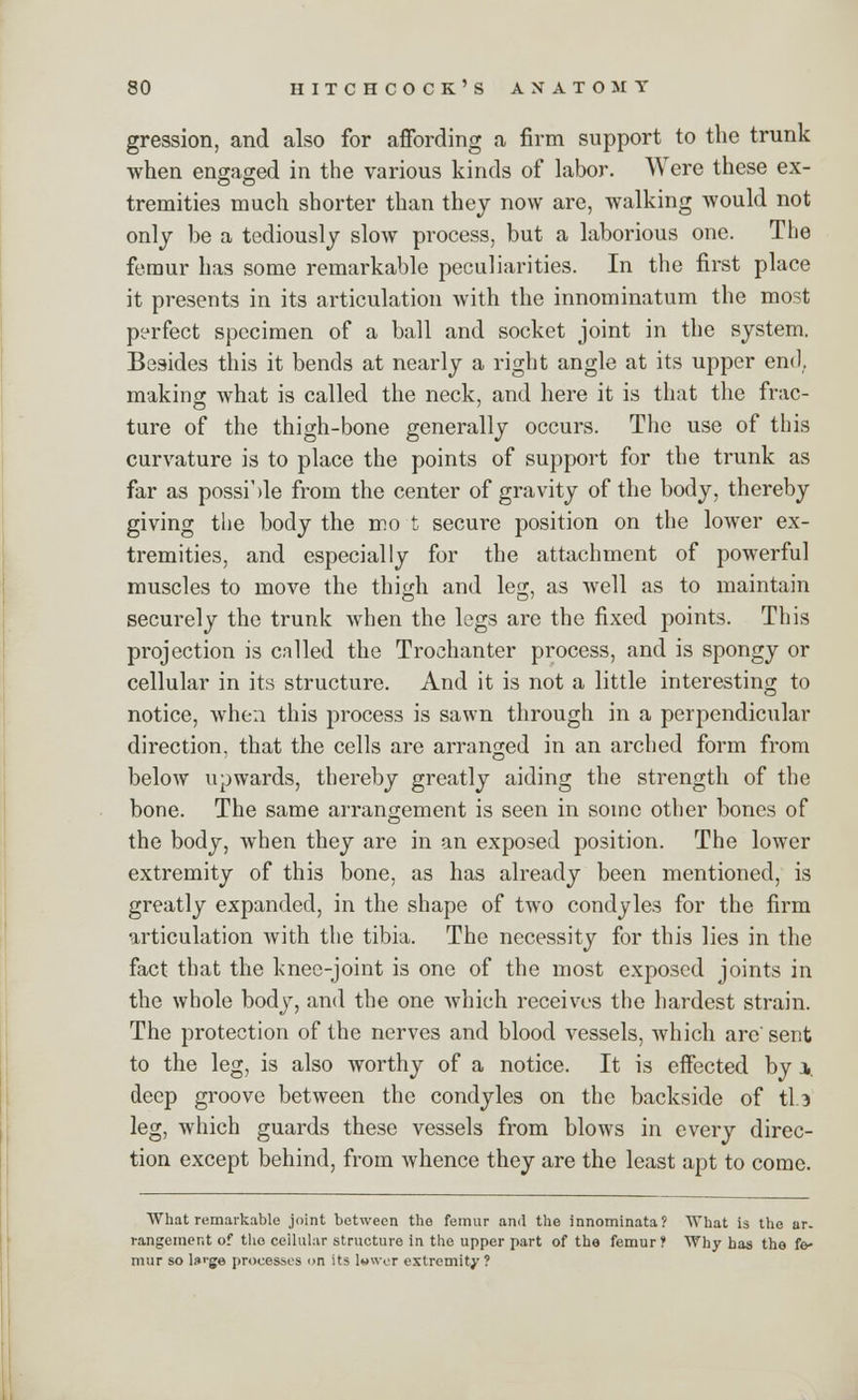 gression, and also for affording a firm support to the trunk when engaged in the various kinds of labor. Were these ex- tremities much shorter than they now are, walking would not only be a tediously slow process, but a laborious one. The femur has some remarkable peculiarities. In the first place it presents in its articulation with the innominatum the most perfect specimen of a ball and socket joint in the system. Besides this it bends at nearly a right angle at its upper end, making what is called the neck, and here it is that the frac- ture of the thigh-bone generally occurs. The use of this curvature is to place the points of support for the trunk as far as possible from the center of gravity of the body, thereby giving the body the mo t secure position on the lower ex- tremities, and especially for the attachment of powerful muscles to move the thigh and leg, as Avell as to maintain securely the trunk when the legs are the fixed points. This projection is called the Trochanter process, and is spongy or cellular in its structure. And it is not a little interesting to notice, when this process is sawn through in a perpendicular direction, that the cells are arranged in an arched form from below upwards, thereby greatly aiding the strength of the bone. The same arrangement is seen in some other bones of the body, when they are in an exposed position. The lower extremity of this bone, as has already been mentioned, is greatly expanded, in the shape of two condyles for the firm articulation with the tibia. The necessity for this lies in the fact that the knee-joint is one of the most exposed joints in the whole body, and the one which receives the hardest strain. The protection of the nerves and blood vessels, which arc'sent to the leg, is also worthy of a notice. It is effected by j. deep groove between the condyles on the backside of tLa leg, which guards these vessels from blows in every direc- tion except behind, from whence they are the least apt to come. What remarkable joint between the femur and the innominata? What is the ar. rangement of the cellular structure in the upper part of the femur ? Why has the fe- mur so ln'-ge processes on its l»wer extremity?