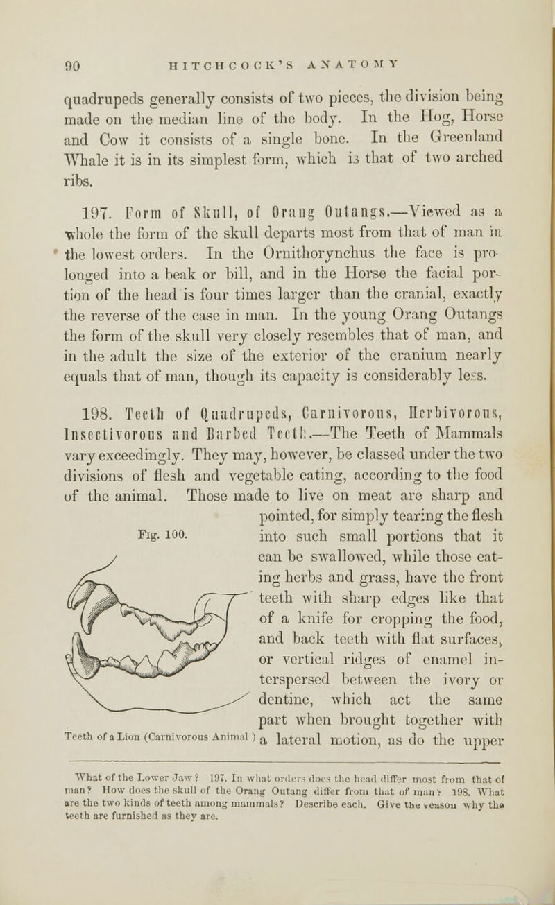 quadrupeds generally consists of two pieces, the division being made on the median line of the body. In the Hog, Horse and Cow it consists of a single bone. In the Greenland Whale it is in its simplest form, which h that of two arched ribs. 197. Form of Skull, of Orang 0 u t a n g s .—Viewed as a •whole the form of the skull departs most from that of man in ' the lowest orders. In the Ornithorynchus the face is pro longed into a beak or bill, and in the Horse the facial por- tion of the head is four times larger than the cranial, exactly the reverse of the case in man. In the young Orang Outangs the form of the skull very closely resembles that of man, and in the adult the size of the exterior of the cranium nearly ecmals that of man, though its capacity is considerably less. 198. Teetli of Quadrupeds, Carnivorous, Herbivorous, Insectivorous and Barbed Teelh.—The Teeth of Mammals vary exceedingly. They may, however, be classed under the two divisions of flesh and vegetable eating, according to the food of the animal. Those made to live on meat are sharp and pointed, for simply tearing the flesh into such small portions that it can be swallowed, while those eat- ing herbs and grass, have the front teeth with sharp edges like that of a knife for cropping the food, and back teeth with flat surfaces, or vertical ridges of enamel in- terspersed between the ivory or dentine, which act the same part Avhen brought together with Teeth ofaLion (Carnivorous Animal )a lateral m0tioil, US (lo tllC Upper Fig. 100. What of the Lower Jaw ? 197. In what orders does the head differ most from that of man? How does the skull of the Orang Outang differ from that of man: 198. What are the two kinds of teeth among mammals? Describe each. Give the ieusou why tha teeth are furnished as they arc.