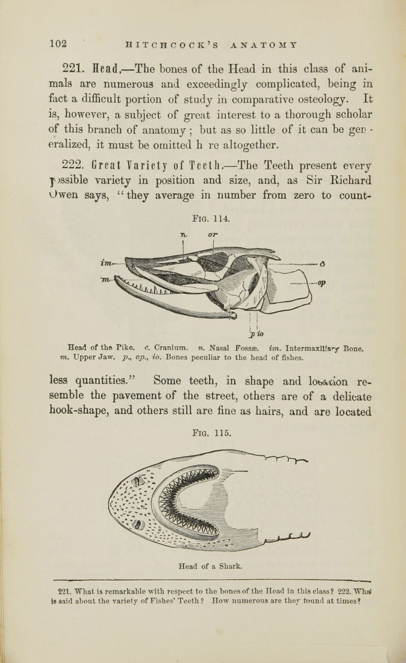 221. Head.—The bones of the Head in this class of ani- mals are numerous and exceedingly complicated, being in fact a difficult portion of study in comparative osteology. It is, however, a subject of great interest to a thorough scholar of this branch of anatomy ; but as so little of it can be gen - eralized, it must be omitted h re altogether. 222. Great Variety of Teeth.—The Teeth present every possible variety in position and size, and, as Sir Richard Owen says, they average in number from zero to count- FlG. 114. JM) Head of tho Pike. c. Cranium, n. Nasal Fossa?, im. Intermaxillary Bone. m. Upper Jaw. p., op., io. Bones peculiar to the head of fishes. less quantities. Some teeth, in shape and tob&tion re- semble the pavement of the street, others are of a delicate hook-shape, and others still are fine as hairs, and are located Fig. 115. Head of a Shark. 221. What is remarkable with respect to the bones of the Head in this class? 222. Wha! I said about the variety of Fishes' Teeth? How numerous are the.r round at times*