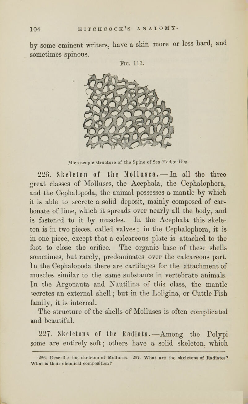 by some eminent writers, have a skin more or less hard, and sometimes spinous. Fig. 117. Microscopic structure of the Spine of Sea Hedge-Hog. 226. Skeleton of the Mollusca. — In all the three great classes of Molluscs, the Acephala, the Cephalophora, and the Cephabpoda, the animal possesses a mantle by which it is able to secrete a solid deposit, mainly composed of car- bonate of lime, which it spreads over nearly all the body, and is fastened to it by muscles. In the Acephala this skele- ton is in two pieces, called valves; in the Cephalophora, it is in one piece, except that a calcareous plate is attached to the foot to close the orifice. The organic base of these shells sometimes, but rarely, predominates over the calcareous part. In the Cephalopoda there are cartilages for the attachment of muscles similar to the same substance in vertebrate animals. In the Argonauta and Nautilina of this class, the mantle secretes an external shell; but in the Loligina, or Cuttle Fish family, it is internal. The structure of the shells of Molluscs is often complicated and beautiful. 227. Skeletons of the Radiata.—Among the Polypi gome are entirely soft; others have a solid skeleton, which 226. Describe the skeleton of Molluscs. 227. What are the skeletons of Radiates? What is their chemical composition ?