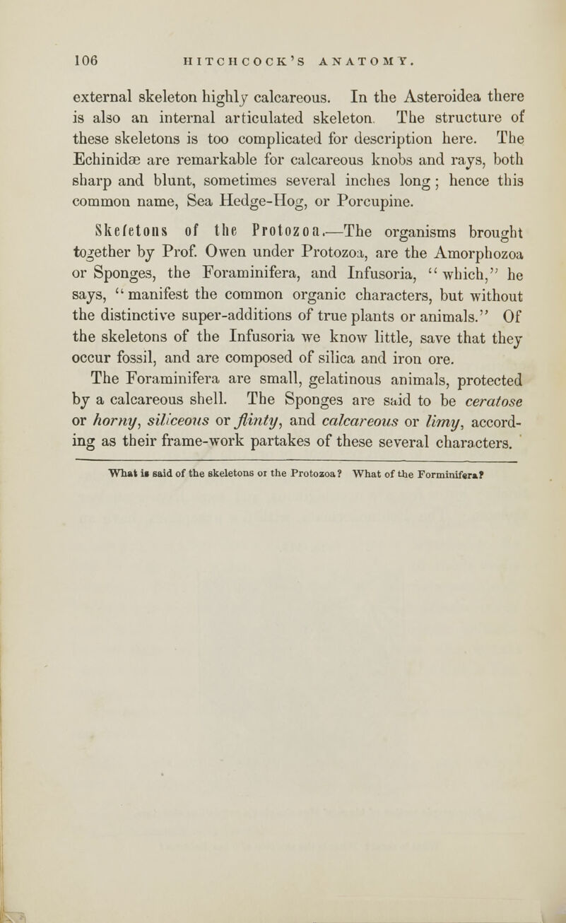 external skeleton highly calcareous. In the Asteroidea there is also an internal articulated skeleton. The structure of these skeletons is too complicated for description here. The Echinidae are remarkable for calcareous knobs and rays, both sharp and blunt, sometimes several inches long; hence this common name, Sea Hedge-Hog, or Porcupine. Skefetons of the Protozoa.—The organisms brought together by Prof. Owen under Protozoa, are the Amorphozoa or Sponges, the Foraminifera, and Infusoria, which, he says, manifest the common organic characters, but without the distinctive super-additions of true plants or animals. Of the skeletons of the Infusoria we know little, save that they occur fossil, and are composed of silica and iron ore. The Foraminifera are small, gelatinous animals, protected by a calcareous shell. The Sponges are said to be ceratose or horny, siliceous or flinty, and calcareous or limy, accord- ing as their frame-work partakes of these several characters. What ii said of the skeletons or the Protozoa? What of the Forminifsra?