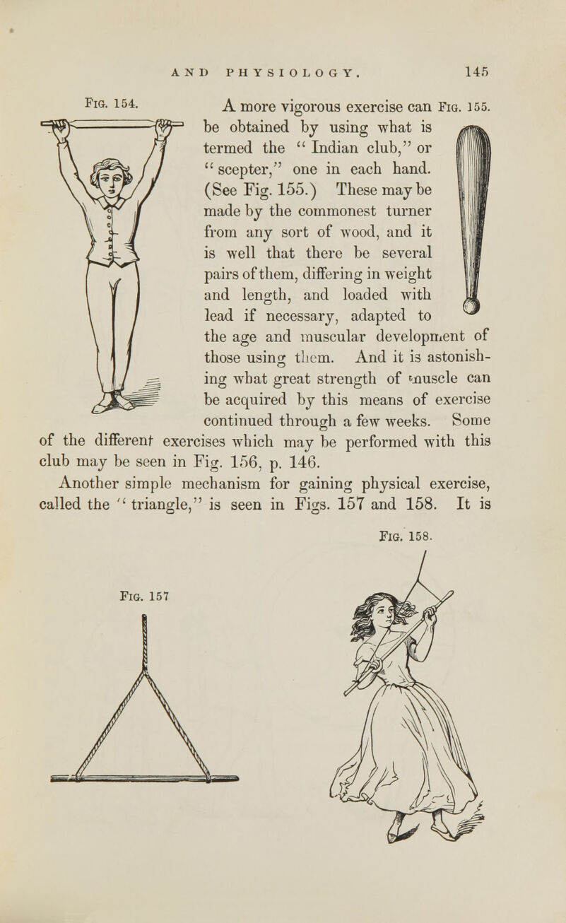 FlG- 154- A more vigorous exercise can Fig. 155. be obtained by using what is termed the  Indian club, or  scepter, one in each hand. (See Fig. 155.) These may be made by the commonest turner from any sort of wood, and it is well that there be several pairs of them, differing in weight and length, and loaded with lead if necessary, adapted to the age and muscular development of those using tliem. And it is astonish- ing what great strength of ymscle can be acquired by this means of exercise continued through a few weeks. Some of the different- exercises which may be performed with this club may be seen in Fig. 156, p. 146. Another simple mechanism for gaining physical exercise, called the '' triangle, is seen in Figs. 157 and 158. It is Fig. 158. Fig. 157