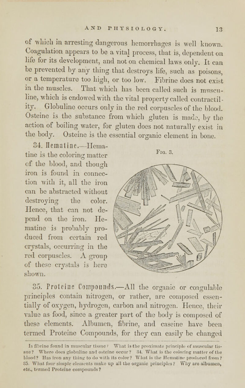Fig. 3. of which in arresting dangerous hemorrhages is well known. Coagulation appears to be a vital process, that is, dependent on life for its development, and not on chemical laws onl v. It can be prevented by any thing that destroys life, such as poisons, or a temperature too high, or too low. Fibrine does not exist in the muscles. That which has been called such is muscu- line, which is endowed with the vital property called contractil- ity. Globuline occurs only in the red corpuscles of the blood. Osteinc is the substance from which gluten is made, by the action of boiling water, for gluten does not naturally exist in the body. Osteinc is the essential organic element in bone. 34. Ilemaline Ilema- tine is the coloring matter cf the blood, and though iron is found in connec- tion with it, all the iron can be abstracted without destroying the color. Hence, that can not de- pend on the iron. He- matino is probably pro- duced from certain red crystals, occurring in the red corpuscles. A group of these crystals is here shown. 35. Frotcine Compounds.—All the organic or coagulable principles contain nitrogen, or rather, are composed essen- tially of oxygen, hydrogen, carbon and nitrogen. Hence, their value as food, since a greater part of the body is composed of these elements. Albumen, fibrine, and caseine have been termed Proteinc Compounds, for they can easily be changed Is fibrine found in muscular tissue i What is the proximate principle of muscular tis- sue? Where does globuline and osteine occur? 34. What i.s the coloring matter of the Wood? lias iron any tiling to do with its color? What is the Hematine produced from? So. What four simple elements make up all the organic principles? Why are albumen, etc., termed Proteinc compounds ?