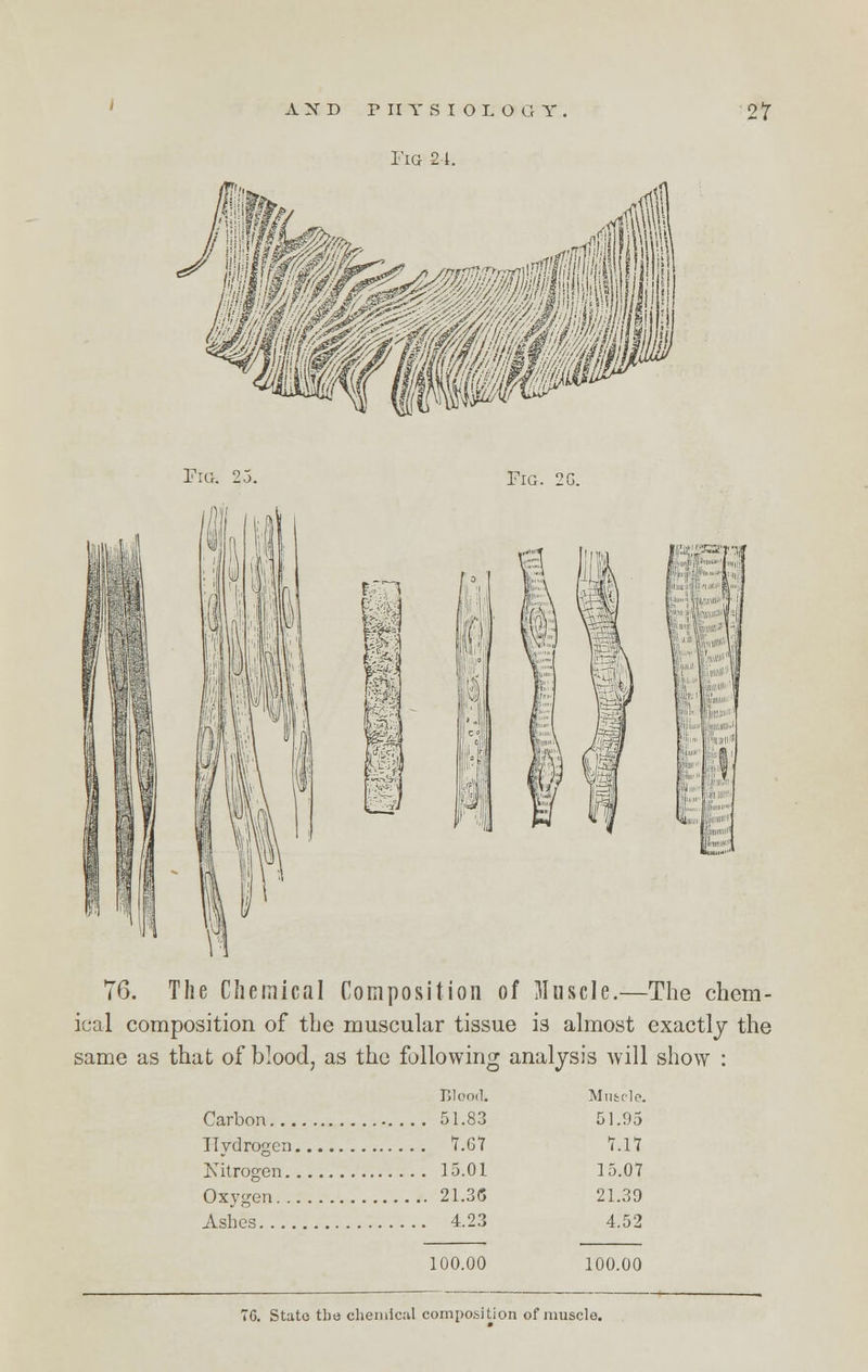 Fig 24. Fig. 23. Fig. 2C. 76. The Chemical Composition of Muscle.—The chem- ical composition of the muscular tissue is almost exactly the same as that of blood, as the following analysis will show : Blood. Carbon 51.83 Hydrogen 7.07 Nitrogen 15.01 Oxygen 21.36 Ashes 4.23 100.00 Muscle. 51.95 7.17 15.07 21.39 4.52 100.00 VG. State the chemical composition of muscle.