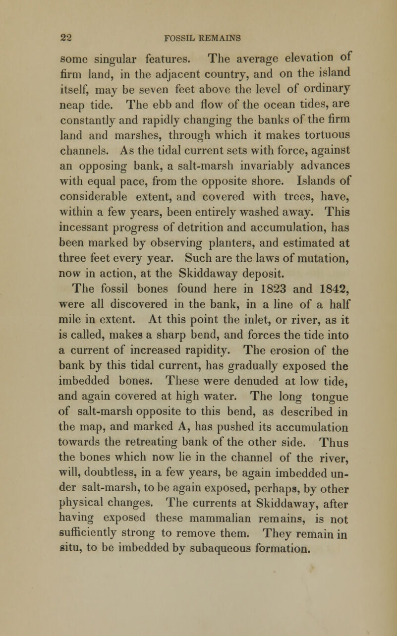 some singular features. The average elevation of firm land, in the adjacent country, and on the island itself, may be seven feet above the level of ordinary neap tide. The ebb and flow of the ocean tides, are constantly and rapidly changing the banks of the firm land and marshes, through which it makes tortuous channels. As the tidal current sets with force, against an opposing bank, a salt-marsh invariably advances with equal pace, from the opposite shore. Islands of considerable extent, and covered with trees, have, within a few years, been entirely washed away. This incessant progress of detrition and accumulation, has been marked by observing planters, and estimated at three feet every year. Such are the laws of mutation, now in action, at the Skiddaway deposit. The fossil bones found here in 1823 and 1842, were all discovered in the bank, in a line of a half mile in extent. At this point the inlet, or river, as it is called, makes a sharp bend, and forces the tide into a current of increased rapidity. The erosion of the bank by this tidal current, has gradually exposed the imbedded bones. These were denuded at low tide, and again covered at high water. The long tongue of salt-marsh opposite to this bend, as described in the map, and marked A, has pushed its accumulation towards the retreating bank of the other side. Thus the bones which now lie in the channel of the river, will, doubtless, in a few years, be again imbedded un- der salt-marsh, to be again exposed, perhaps, by other physical changes. The currents at Skiddaway, after having exposed these mammalian remains, is not sufficiently strong to remove them. They remain in situ, to be imbedded by subaqueous formation.