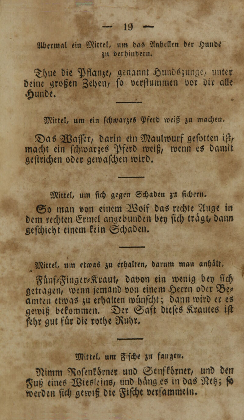 aifcfwial ein Mittel, um fcaä Slnbetlen ber Jpunbe ju &erl)int>ern. <$:l)iie bte ^ftonjc/ genannt J&tröbSjttngc, unter öeine trogen Seljen/ fo t>erftummen \>or Di« alle «g)imfoc. Mittel, um ein fc&njarje* «Pfcrö weifj ju machen. ©aä^Bafler/ Darin ein Maulwurf gefotten Lfr mad)t ein fdjwarje* >l>ferD weig/ wenn eg Damit geftridjen oDer gewafd;en wirD, «Kittel/ um fi# gegen graben jtf jtcfrenu €>o man son einem IBolf baö rechte 21 uae in Dem rechten £rmel angebunDen bei) fiel; tragt, Dann $efe()icbt einem fein ©ctyaDcn. Mittel, um etwaö $u ermatten/ barum man anmalt. gunf*5tnae«#Ävaut/ Dat>on ein wenig bep ffc§ getragen/ wenn jemanD t?on einem Jperrn oDe« S$e* amten etwas ju erhalten wünfebt; Dann wirb er e$ gewiß bekommen. S)et (Saft Diefeö Krautes ifi fei)« gut für Die «otbe fKufyr« Mittel, um gifc^e 31t fangen. ^imm %>fen£orne« unD (Senfforner, u^ Den $u§ eines? 2ßie£!ein6/ nnD bang eö in Daö iftcfc; fo werben ft# fl«»if Ote gifc^e wfammefn»