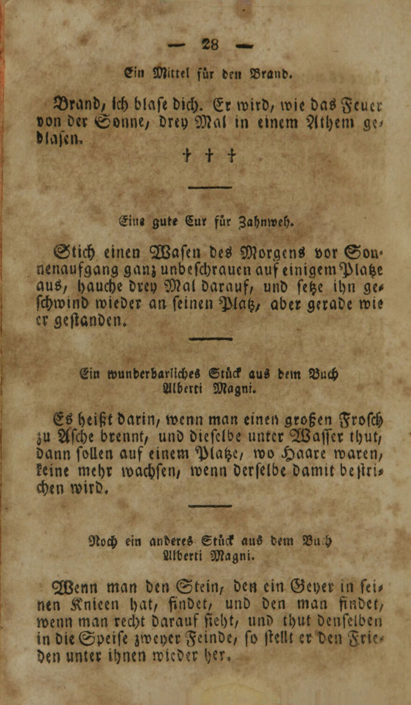 Gm SWittel für fcen 35ranb. 23ranb, icf) blafe bid). £r wirD, wie t)a^ geucr »on Der <6onne; Drei) OTai in einem ?(tl)em gc> blafe n, *+'■■* Sin« gute <5ur für >3a&mt>ef>. @ticr) einen 'SBafen be$ Sföoracnä toor (Son- nenaufgang ganjunbefdxauenauf einigem^JMafce au$/ baucfoe Drep $?cU Darauf/ unD fefje it>n ge* fcfcwinD wieDer an feinen ^(afc/ aber geraDe n?ie er gefianDen» gin rounberbarlicfceä (Stncf auä brm 33ui$ £ö beift Darin/ wenn man einen gro§en grofefe ^u Stfcbe brennt, unö Diefctbe unter c2Baflcr 11>ut/ Dann follen auf einem ^la^e/ wo Jpaare waren, feine mebr waebfen, wenn Derfelbe Damit be|Uu eben wirD. 9to# ein Ant>ere& gtücf auö fcem 93u.£ Sliterti ^flgni. <2ßenn man Den (Stein, Den ein ©euer in fei* nen Änieen bat/ fünDet, unD Den man fünDct/ wenn man recl>t Darauf fiel>t7 unl> tl>ut Deufelben in Die^peife jwci>er geinDe/ fo \h\\t er t>en gric« Den unter ibnen wkDsr Ijer,