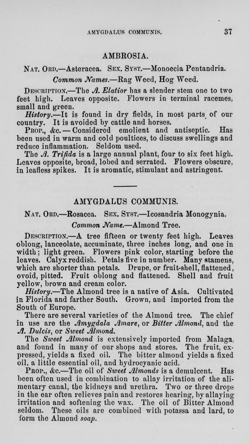 AMBROSIA. Nat. Ord.—Asteracea. Sex. Syst.—Monoecia Pentandria. Common Names.—Rag Weed, Hog Weed. Description.—The A. Elatior has a slender stem one to two feet high. Leaves opposite. Flowers in terminal racemes, small and green. History.—It is found in dry fields, in most parts of our country. It is avoided by cattle and horses. Prop., &c.— Considered emolient and antiseptic. Has been used in warm and cold poultices, to discuss swellings and reduce inflammation. Seldom used. The A. Trifida is a large annual plant, four to six feet high. Leaves opposite, broad, lobed and serrated. Flowers obscure, in leafless spikes. It is aromatic, stimulant and astringent. AMYGDALUS COMMUNIS. Nat. Ord.—Rosacea. Sex. Syst.—Icosandria Monogynia. Common Name.—Almond Tree. Description.—A tree fifteen or twenty feet high. Leaves oblong, lanceolate, accuminate, three inches long, and one in width; light green. Flowers pink color, starting before the leaves. Calyx reddish. Petals five in number. Many atamens, which are shorter than petals. Drupe, or fruit-shell, flattened, ovoid, pitted. Fruit oblong and flattened. Shell and fruit yellow, brown and cream color. History.—The Almond tree is a native of Asia. Cultivated in Florida and farther South. Grown, and imported from the South of Europe. There are several varieties of the Almond tree. The chief in use are the Amygdala Amare, or Bitter Almond, and the A. Dulcis, or Sweet Almond. The Sweet Almond is extensively imported from Malaga, and found in many of our shops and stores. The fruit, ex- pressed, yields a fixed oil. The bitter almond yields a fixed oil, a little essential oil, and hydrocyanic acid. Prop., &c.—The oil of Sweet Almonds is a demulcent. Has been often used in combination to allay irritation of the ali- mentary canal, the kidneys and urethra. Two or three drops in the ear often relieves pain and restores hearing, by allaying irritation and softening the wax. The oil of Bitter Almond seldom. These oils are combined with potassa and lard, to form the Almond soap.