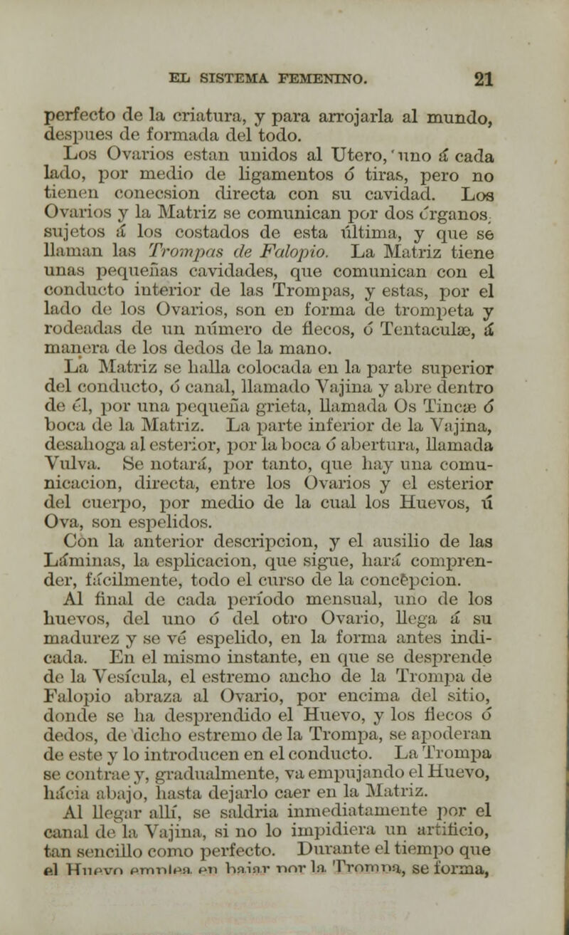 perfecto de la criatura, y para arrojarla al mundo, después de formada del todo. Los Ovarios están unidos al Útero,' uno á cada lado, por medio de ligamentos ó tiras, pero no tienen conecsion directa con su cavidad. Loa Ovarios y la Matriz se comunican por dos érganos. sujetos á los costados de esta última, y que se llaman las Trompas de Falopio. La Matriz tiene unas pequeñas cavidades, que comunican con el conducto interior de las Trompas, y estas, por el lado de los Ovarios, son eu forma de trompeta y rodeadas de un número de flecos, ó Tentaculae, á manera de los dedos de la mano. La Matriz se baila colocada en la parte superior del conducto, ó canal, llamado Vajiua y abre dentro de él, por una pequeña grieta, llamada Os Tincse ó* boca de la Matriz. La parte inferior de la Vajina, desaboga al esterior, por la boca ó abertura, llamada Vulva. Se notará, por tanto, que hay una comu- nicación, directa, entre los Ovarios y el esterior del cuerpo, por medio de la cual los Huevos, ú Ova, son espelidos. Con la anterior descripción, y el ausilio de las Láminas, la esplicacion, que sigue, liará compren- der, fácilmente, todo el curso de la concepción. Al final de cada período mensual, uno de los huevos, del uno 6 del otro Ovario, llega á su madurez y se vé espebdo, en la forma antes indi- cada. En el mismo instante, en que se desprende de la Vesícula, el estremo ancho de la Trompa de Falopio abraza al Ovario, por encima del sitio, donde se ha desprendido el Huevo, y los flecos ó dedos, de dicho estremo de la Trompa, se apoderan de este y lo introducen en el conducto. La Trompa se contrae y, gradualmente, va empujando el Huevo, hacia abajo, basta dejarlo caer en la Matriz. Al llegar allí, se saldría inmediatamente por el canal déla Vajina, si no lo impidiera un artificio, tan sencillo como perfecto. Durante el tiempo que el Hncvn pmnlp¡) en h:ii:iv novia Tromna, se forma,