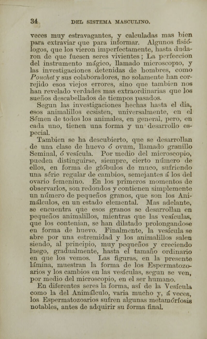 veces muy estravagantes, y calculadas mas bien para extraviar que para informar. Algunos fisió- logos, que los vieron imperfectamente, hasta duda- ron de que fuesen seres vivientes; La perfección del instrumento mágico, llamado microscopio, y las investigaciones detenidas de hombres, como Poucketj sus colaboradores, no solamente han cor- regido esos viejos errores, sino que también nos han revelado verdades mas extraordinarias que los sueños descabellados de tiempos pasados. Según las investigaciones hechas hasta el dia, esos animalillos ecsisten, umversalmente, en el Semen de todos los animales, en general, pero, en cada uno, tienen una forma y un desarrollo es- pecial. También se ha descubierto, que se desarrollan de una clase de huevo ó ovum, llamado granillo Seminal, ó vesícula. Por medio del microscopio, pueden distinguirse, siempre, cierto número de ellos, en forma de glóbulos de muco, sufriendo una serie regular de cambios, semejantes á los del ovario femenino. En los primeros momentos de observarlos, son redondos y contienen simplemente un número de pequeños granos, que son los Ani- málculos, en un estado elemental. Mas adelante, se encuentra que esos granos se desarrollan en pequeños animalillos, mientras que las vesículas, que los contenian, se han dilatado prolongándose en forma de huevo. Finalmente, la vesícula se abre por una estremidad y los animalillos salen siendo, al principio, muy pequeños y creciendo luego, gradualmente, hasta el tamaño ordinario en que los vemos. Las figuras, en la presento lámina, muestran la forma de los Espermatozo- arios y los cambios en las vesículas, según se ven, por medio del microscopio, en el ser humano. En diferentes seres la forma, así de la Vesícula como la del Animálculo, varia mucho y, á veces, los Espermatozoarios sufren algunas metamorfosis notables, antes de adquirir su forma linaL