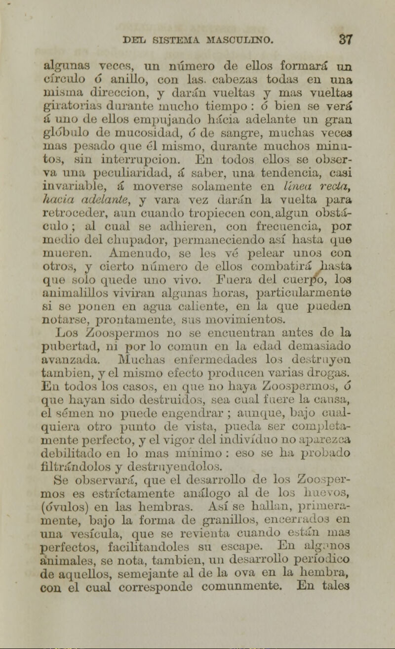 algunas veces, un número de ellos formará un círculo o anillo, con las. cabezas todas en una misma dirección, y darán vueltas y mas vueltas giratorias durante mucho tiempo : ó bien se verá á uno dfi ellos empujando hacia adelante un gran gl<5bulo de mucosidad, ó de sangre, muchas veces mas pesado que él mismo, durante muchos minu- tos, sin interrupción. En todos ellos se obser- va una peculiaridad, á saber, una tendencia, casi invariable, á moverse solamente en línea recia, Inicia adelante, y vara vez darán la vuelta para retroceder, aun cuando tropiecen con.algún obstá- culo; al cual se adhieren, con frecuencia, por medio del chupador, permaneciendo así hasta que mueren. Amenudo, se les vé pelear unos con otros, y caerlo número de ellos combatirá hasta que solo quede uno vivo. Fuera del cuerpo, los animalillos vivirán algunas horas, particularmente si se ponen en agua caliente, en la que pueden notarse, pronta - movimientos. Los Zoospermos no se encuentran antes do la pubertad, i¡i por lo común en la edad demasiado avanzada. Mucha:-; dades los destruyen también, y el mismo (Meció producen varias drogas. En todos los casos, en que no haya Zoospermos, o que hayan sido destruidos, sea cual fuere la i el semen no puede engendrar ; aunque, bajo cual- quiera otro punto de vista, pueda ser completa- mente perfecto, y el vigor del individuo no aparezca debilitado en lo mas mínimo : eso se ha pr< librándolos y destruyéndolos. Se observará, que el desarrollo de los Zoi moa es estrictamente análogo al de los huevos, (óvulos) en las hembras. Así se hallan, prii mente, bajo la forma de granillos, encerrados en una vesícula, que se revienta cuando están mas perfectos, facilitándoles su escape. En algunos animales, se nota, también, un desarrollo periódico de aquellos, semejante al de la ova en la hembra, con el cual corresponde comunmente. En tales