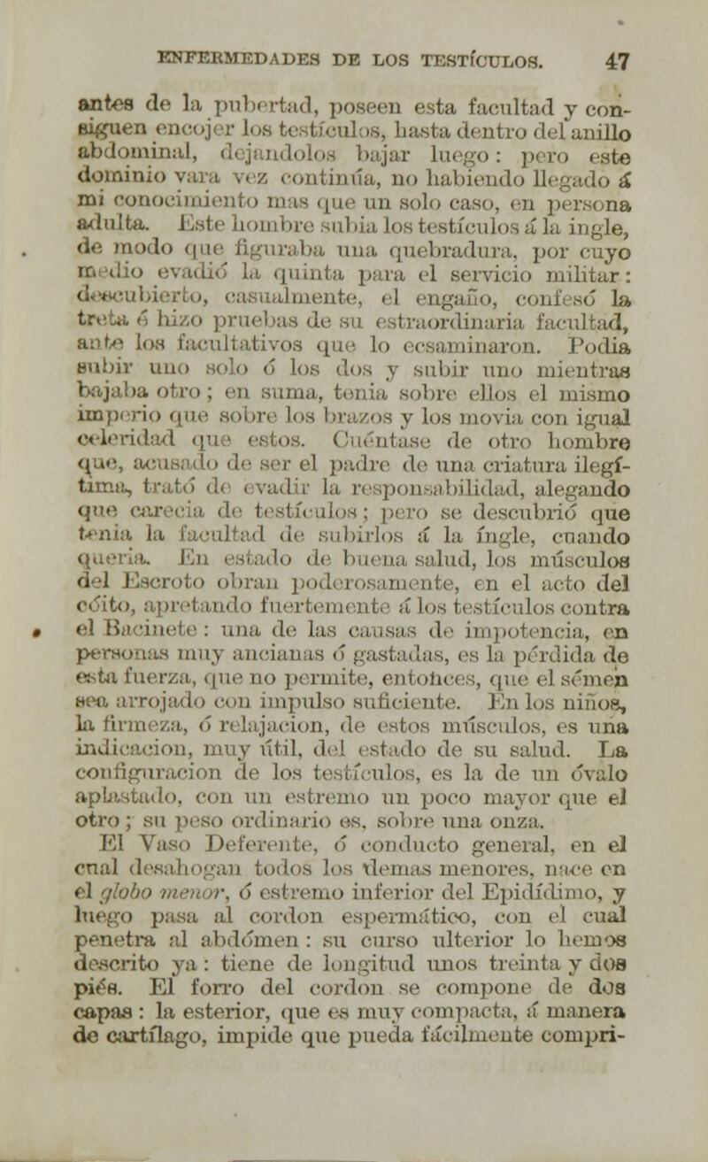 antes de la pubertad, poseen esta facultad y con- ■iguen encojer los testículos, hasta dentro del anillo abdominal, dejándolos bajar luego: pero este dominio vara vez continúa, no habiendo llegado á mi conocimiento mas que un solo caso, en persona adulta. Este hombre subía los testículos á la ingle, de modo que figuraba una quebradura, por cuyo la quinta para el servicio militar: asualmente, el engaño, confesó Iía b hizo pruebas d braordinaria facultad, ante Los facultativos que lo ecsaminaron. Podía subir uno solo ó los dos y subir uno mientras bajaba otro; en suma, tenia sobre dios el mismo imperio que sobre ! y los movía con igual celeridad qu • estos. Cuéntase de otro hombre que, acusa Lo de ser el padre de una criatura ilegí- tima, trato de evadir la responsabilidad, alegando que carecía de testículos; pero se descubrid que tenia la facultad de .subirlos á la ingle, cuando «meria. En i itado d< I ua salud, Los músculos del Escroto obran poder en el acto del odito, apretando fuertemente a los testículos contra el Bacinete: una de las causas de impotencia, en personas muy ancianas 6 gastadas, es La pérdida de esta fuerza, que no p< rmite, entonces, que el semen sea arrojado con impulso suficiente. En los niños, la firmeza, ó relajación, de estos músculos, es una indicación, muy útil, de] estado de su salud. La ion de los testículos, es la de un óvalo aplastado, con un estremo un poco mayor que el otro ; su piso ordinario es. sobre una onza. El Vaso Deferente, ó conducto general, en el cual desahogan todos los demás menores, nace en el globo me amo inferior del Epidídimo, y luego pasa al cordón espermátioo, con el cual penetra al abdomen : su curso ulterior lo liemos descrito ya: tiene de Longitud unos treinta y dos pifo. El forro del cordón se compone de dos capas : la esterior, que es muy compacta, ¡i manera de cartílago, impide que pueda fácilmente compri-